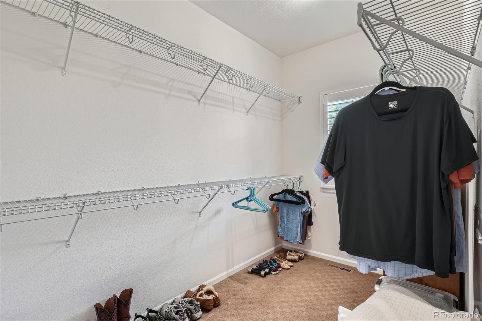 MLS Image #17 for 536  green ash street,highlands ranch, Colorado
