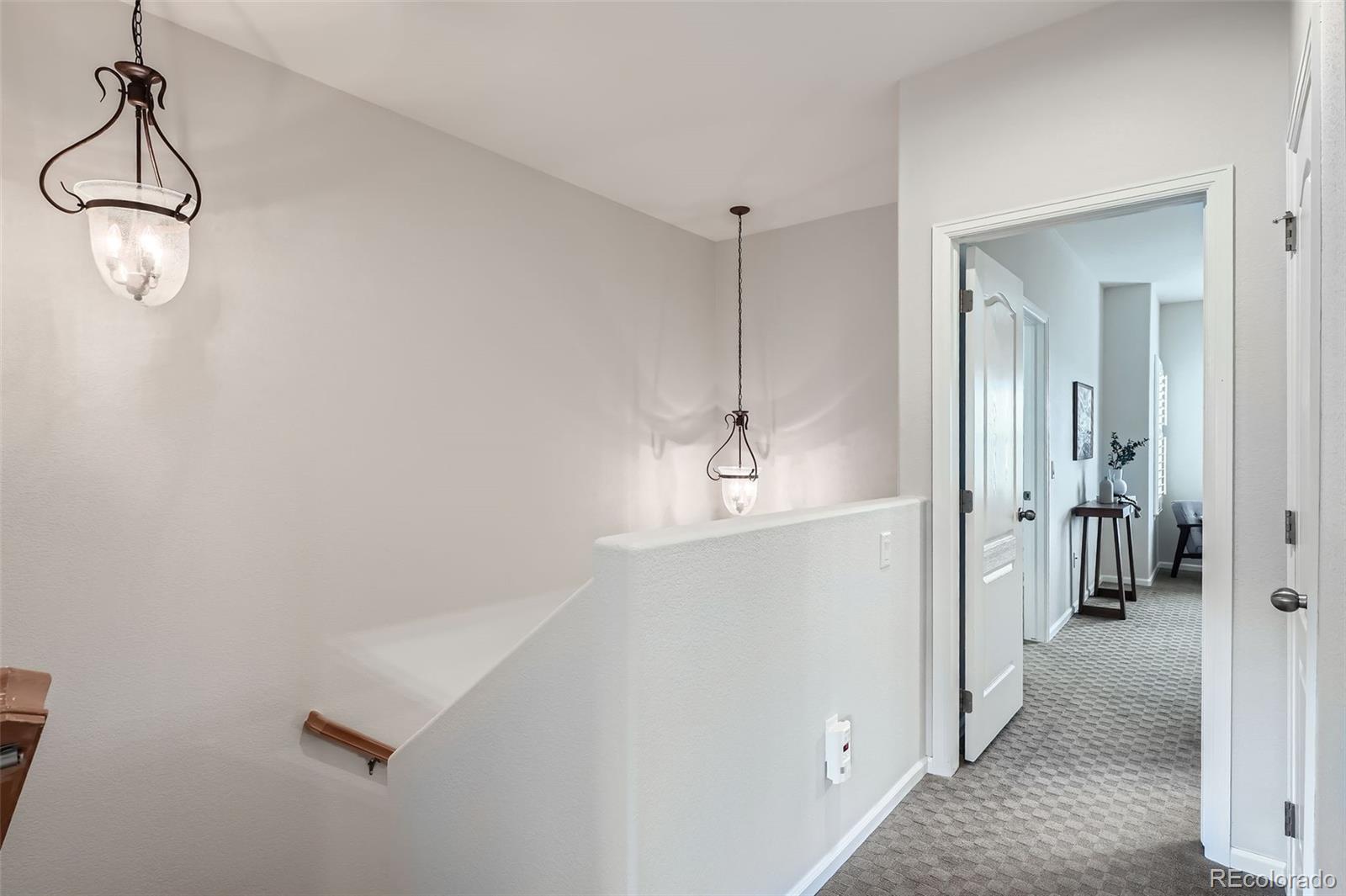 MLS Image #20 for 536  green ash street,highlands ranch, Colorado