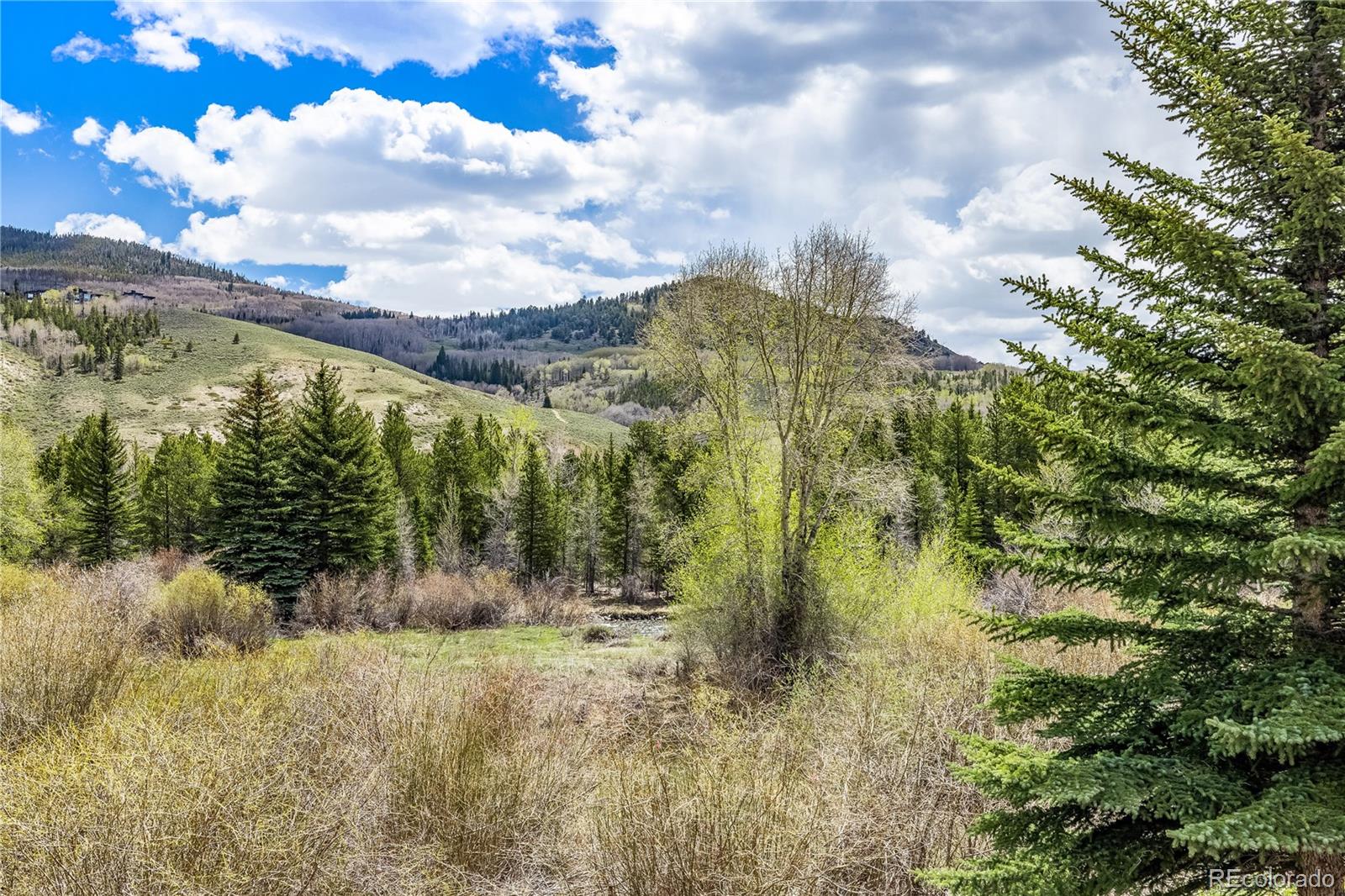 MLS Image #14 for 133  creek lane,silverthorne, Colorado