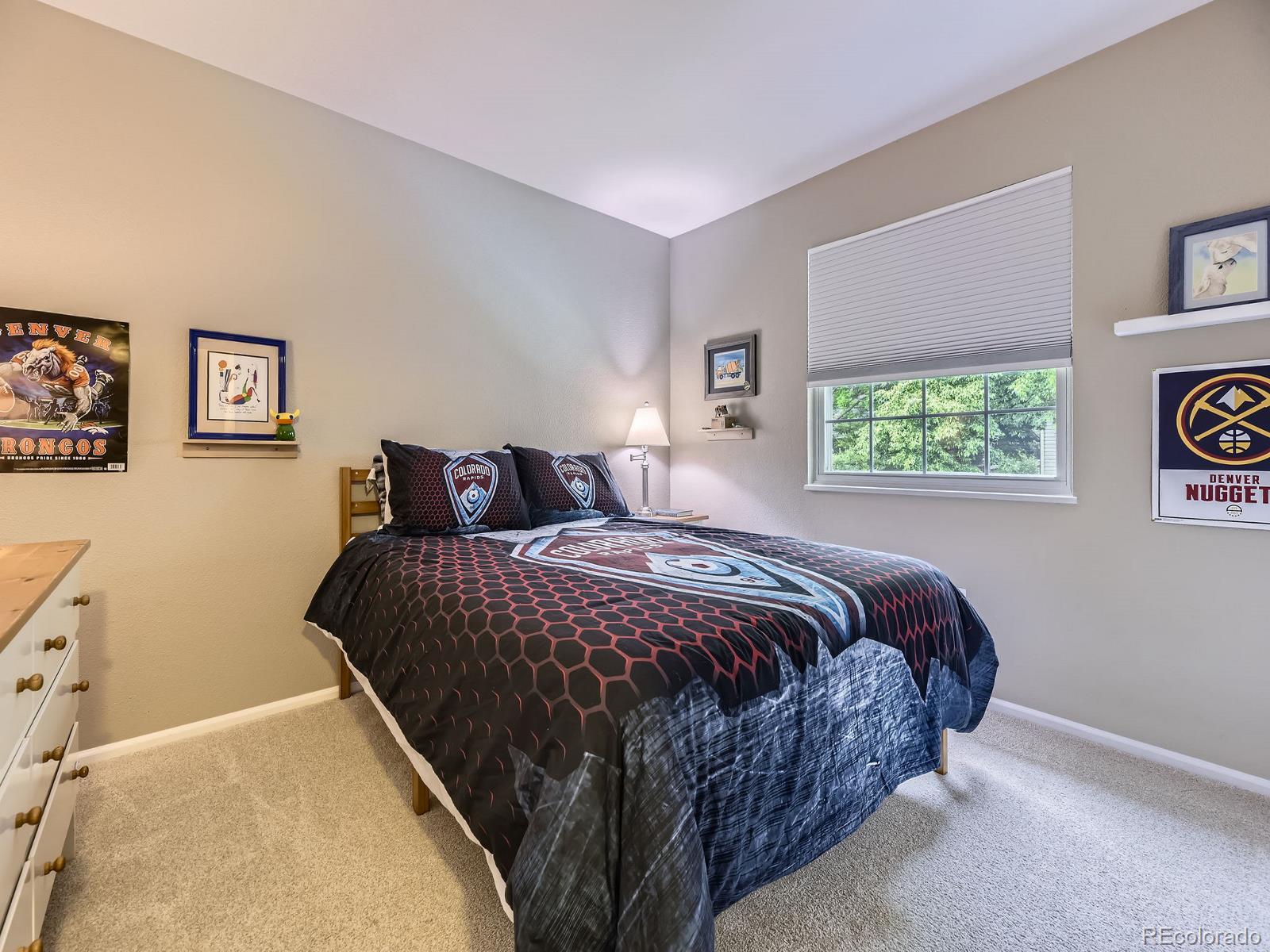 MLS Image #16 for 5456 e briarwood place,centennial, Colorado
