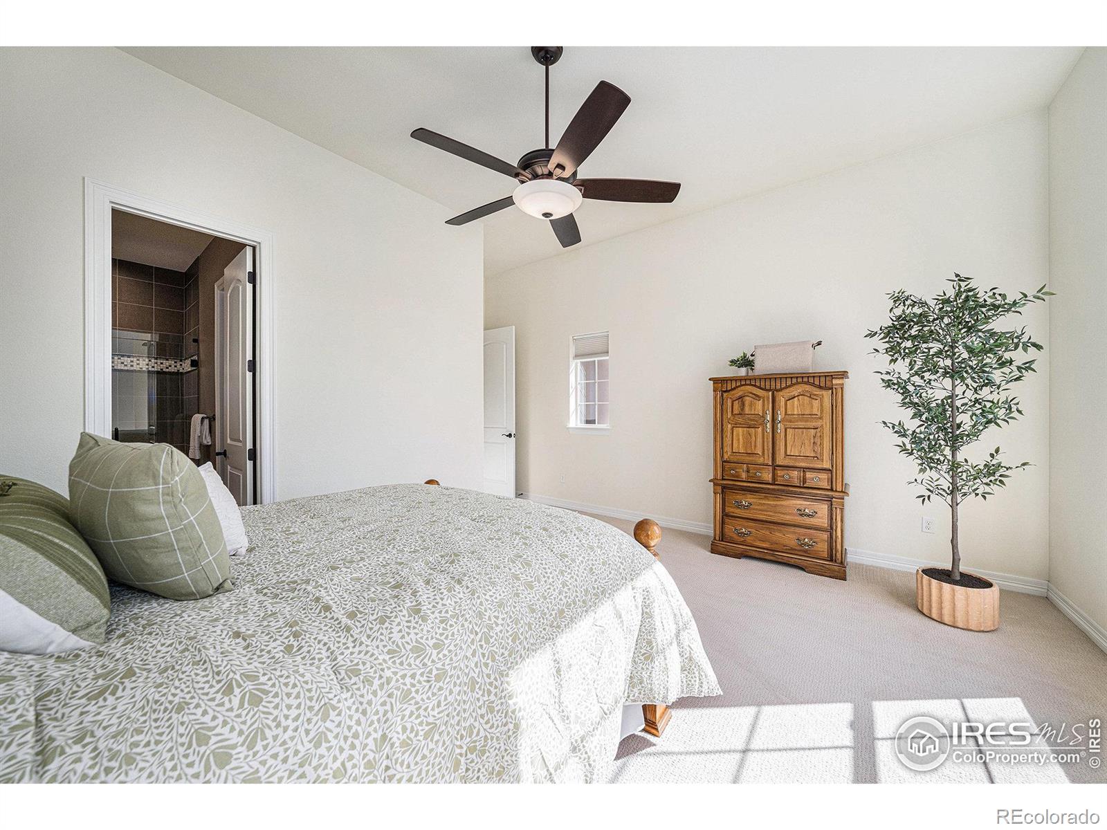 MLS Image #22 for 6227  saker court,fort collins, Colorado