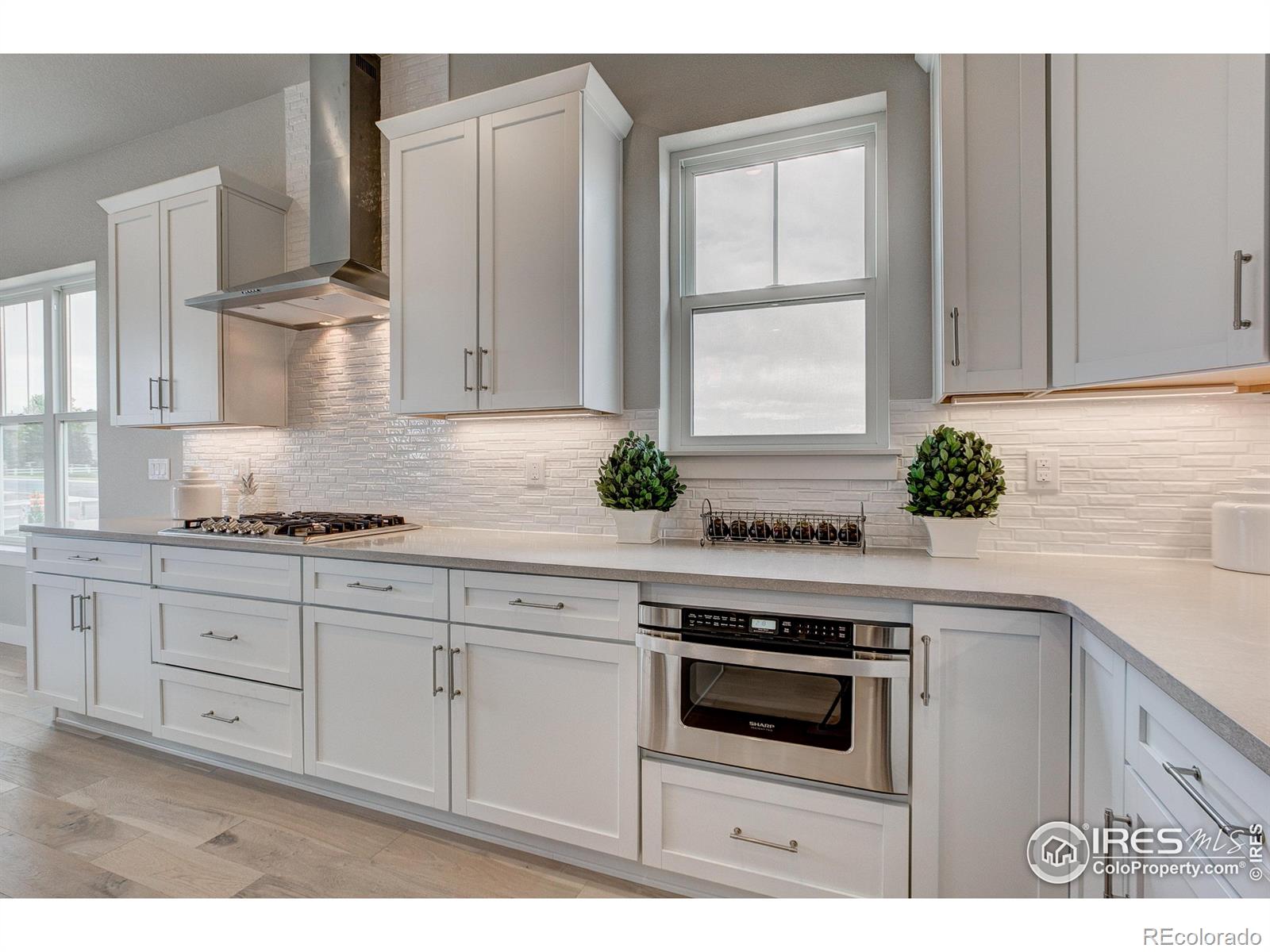 MLS Image #14 for 8412  cromwell circle,windsor, Colorado