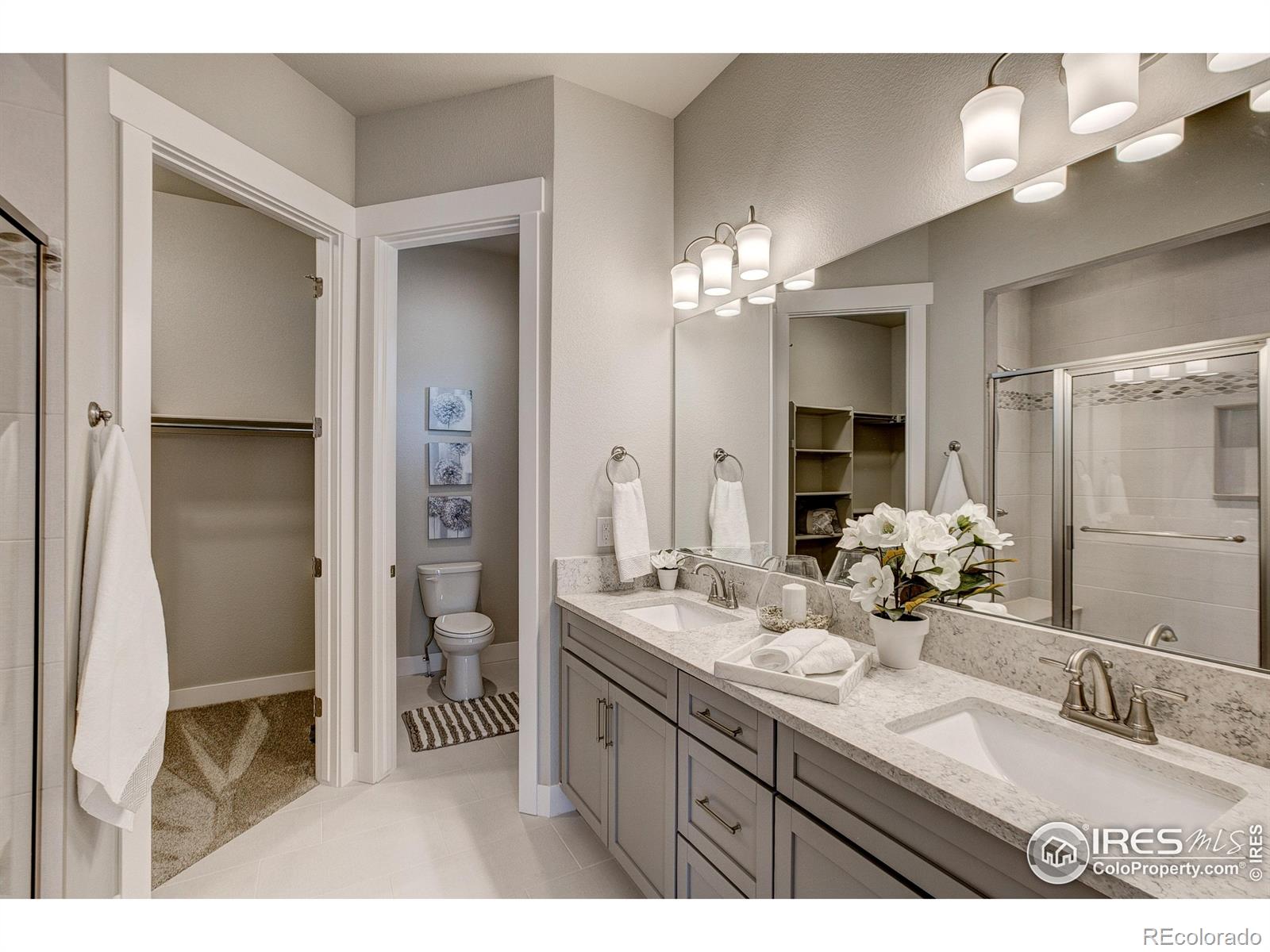 MLS Image #26 for 8412  cromwell circle,windsor, Colorado