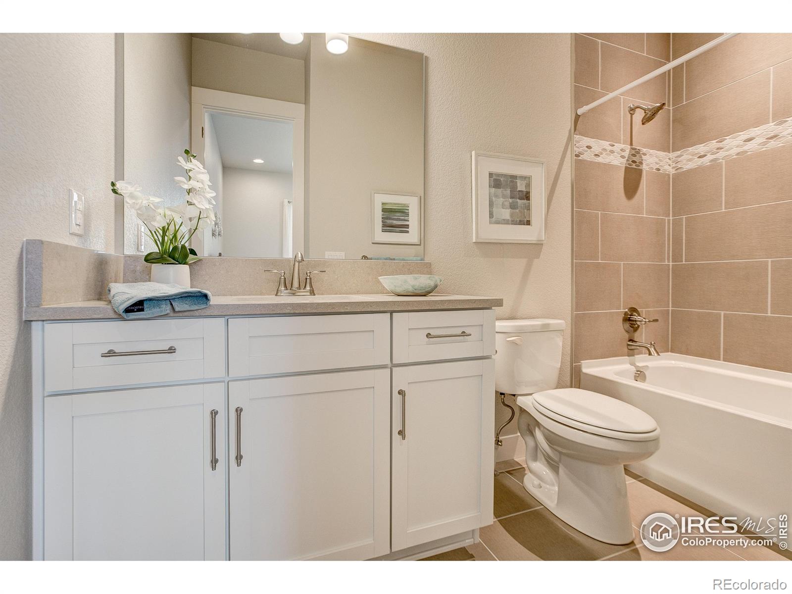 MLS Image #6 for 8412  cromwell circle,windsor, Colorado