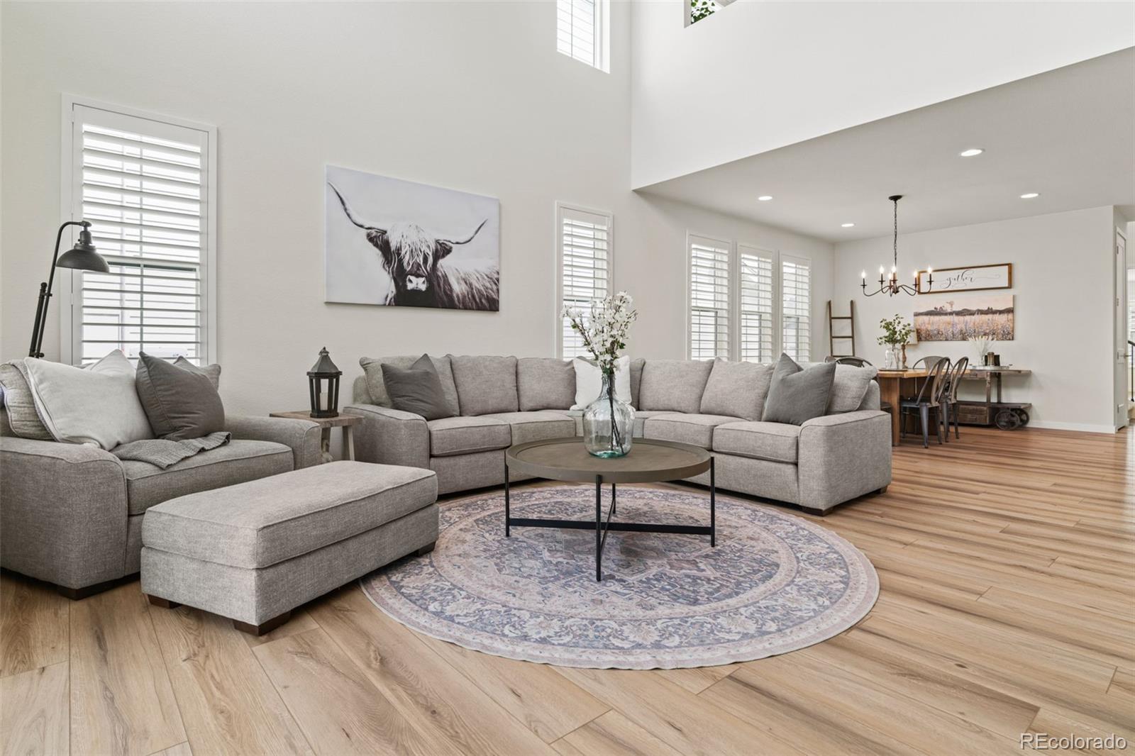 MLS Image #13 for 11103  cloud shadow street,littleton, Colorado