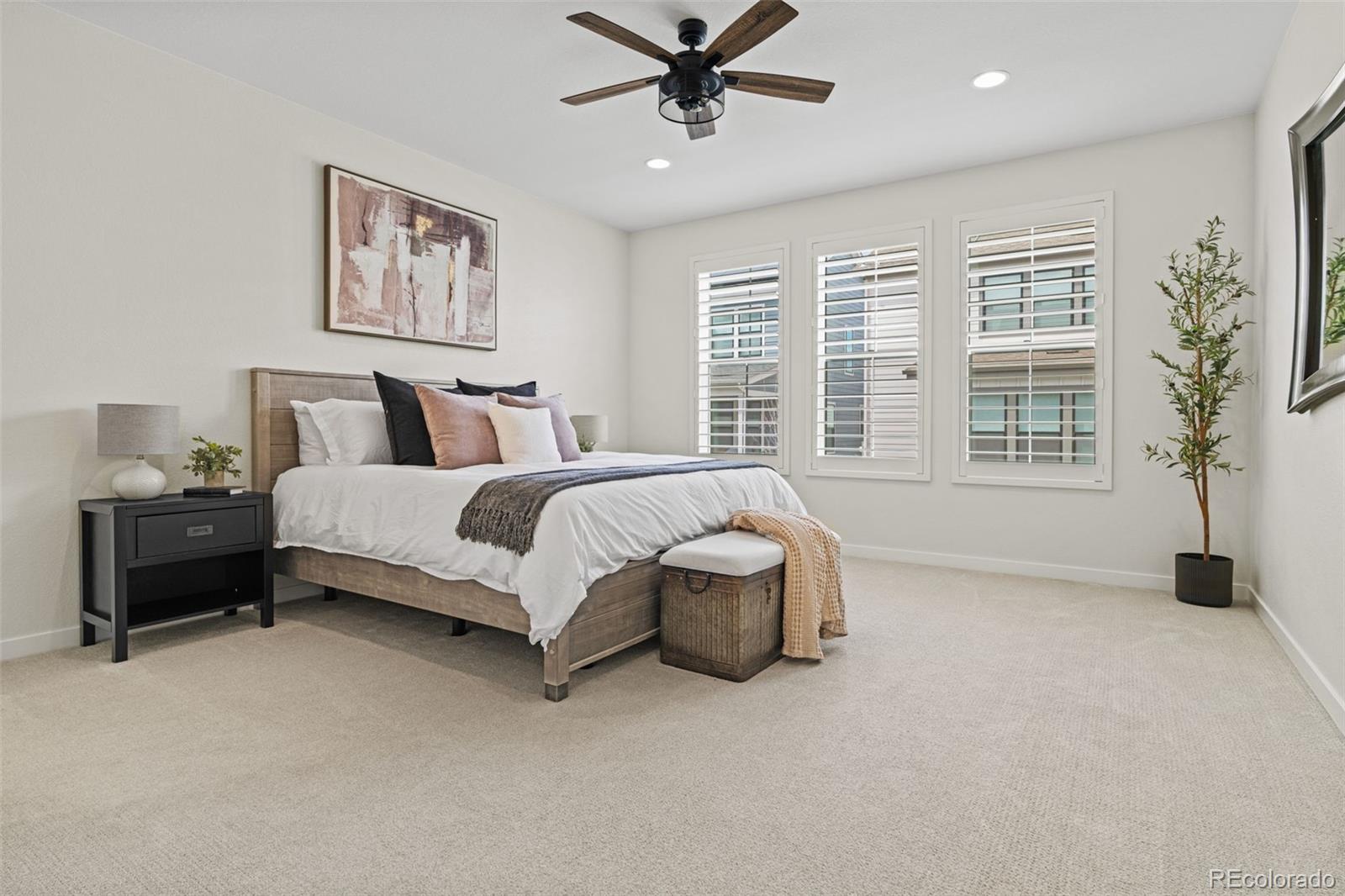 MLS Image #14 for 11103  cloud shadow street,littleton, Colorado