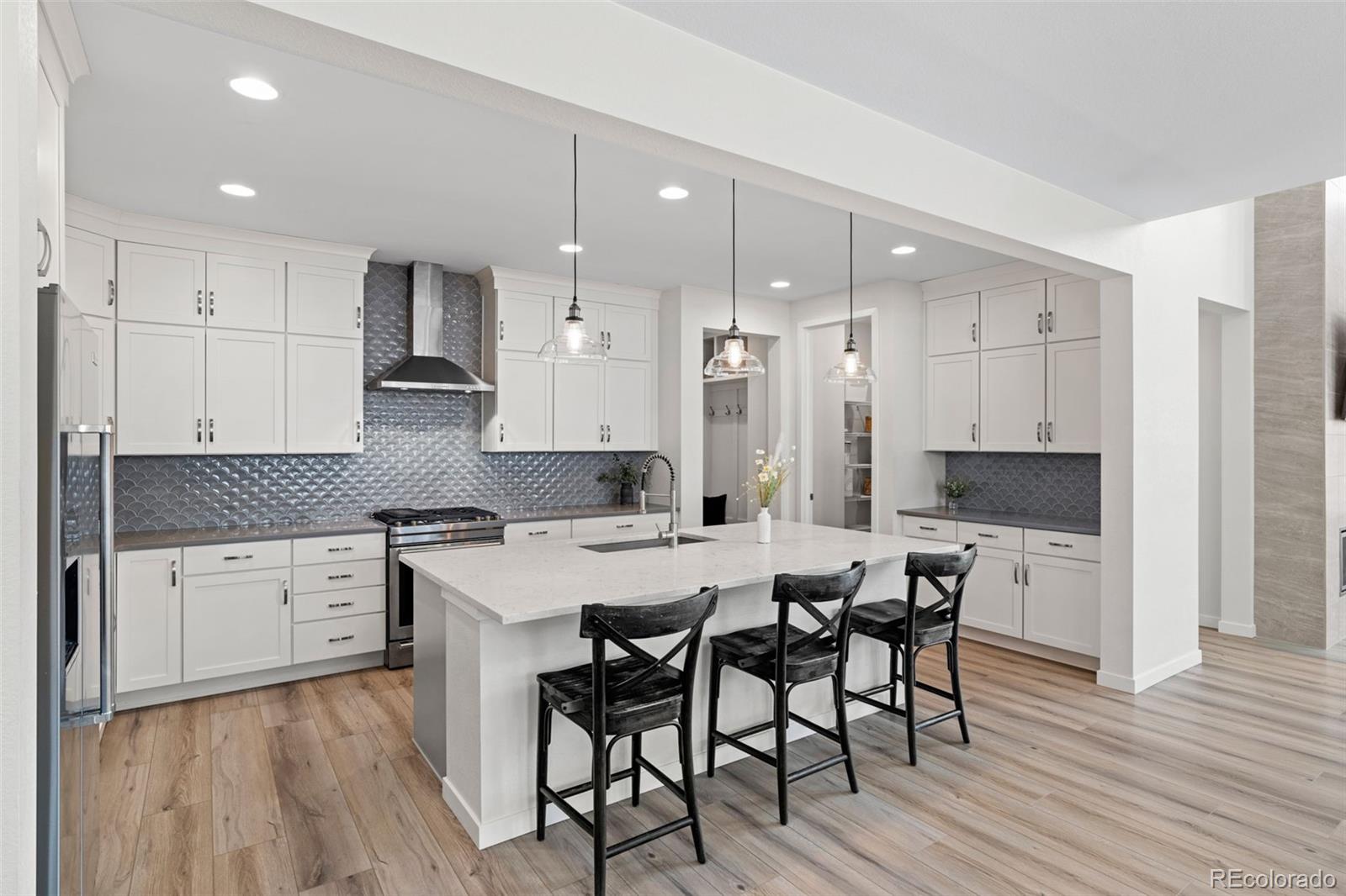 MLS Image #4 for 11103  cloud shadow street,littleton, Colorado