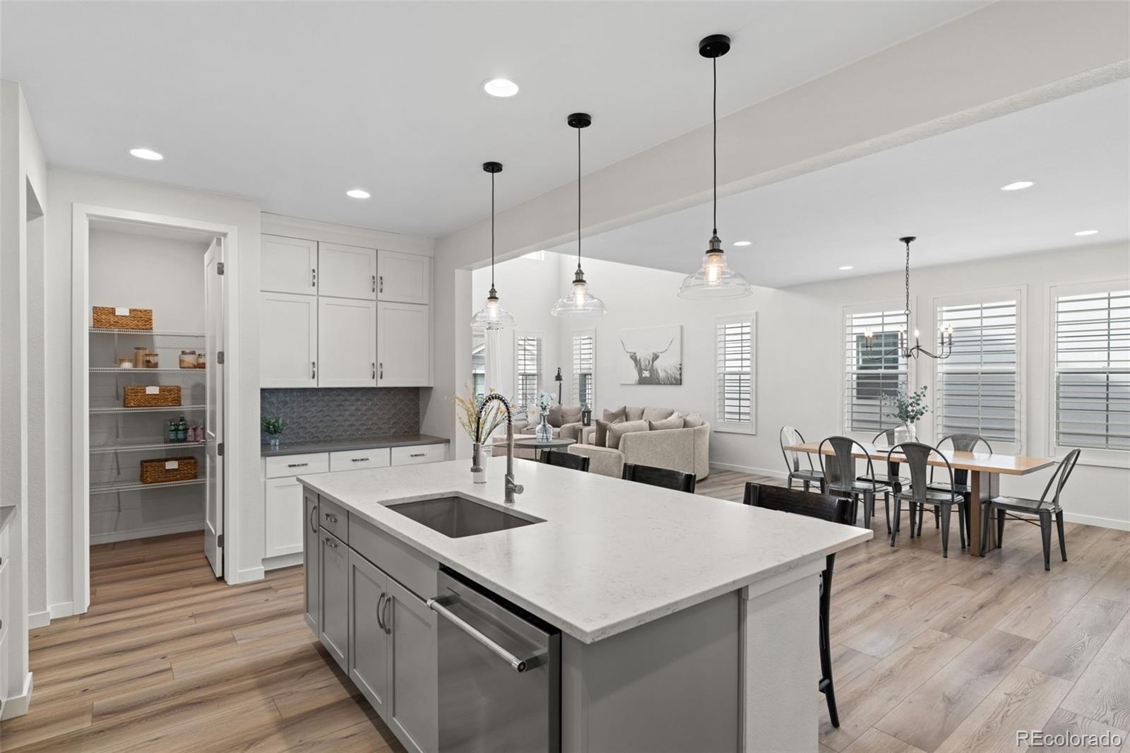 MLS Image #5 for 11103  cloud shadow street,littleton, Colorado