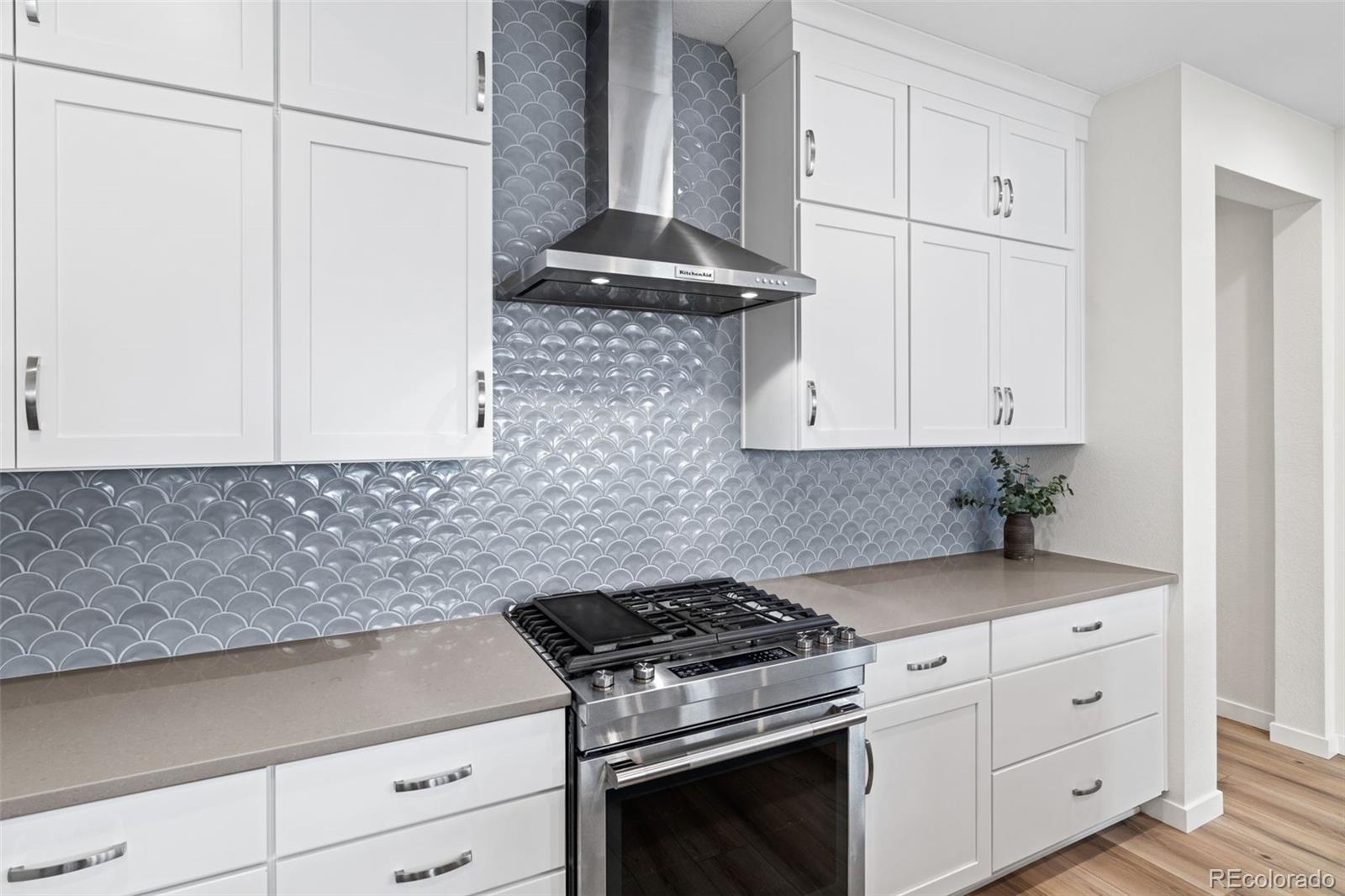MLS Image #6 for 11103  cloud shadow street,littleton, Colorado