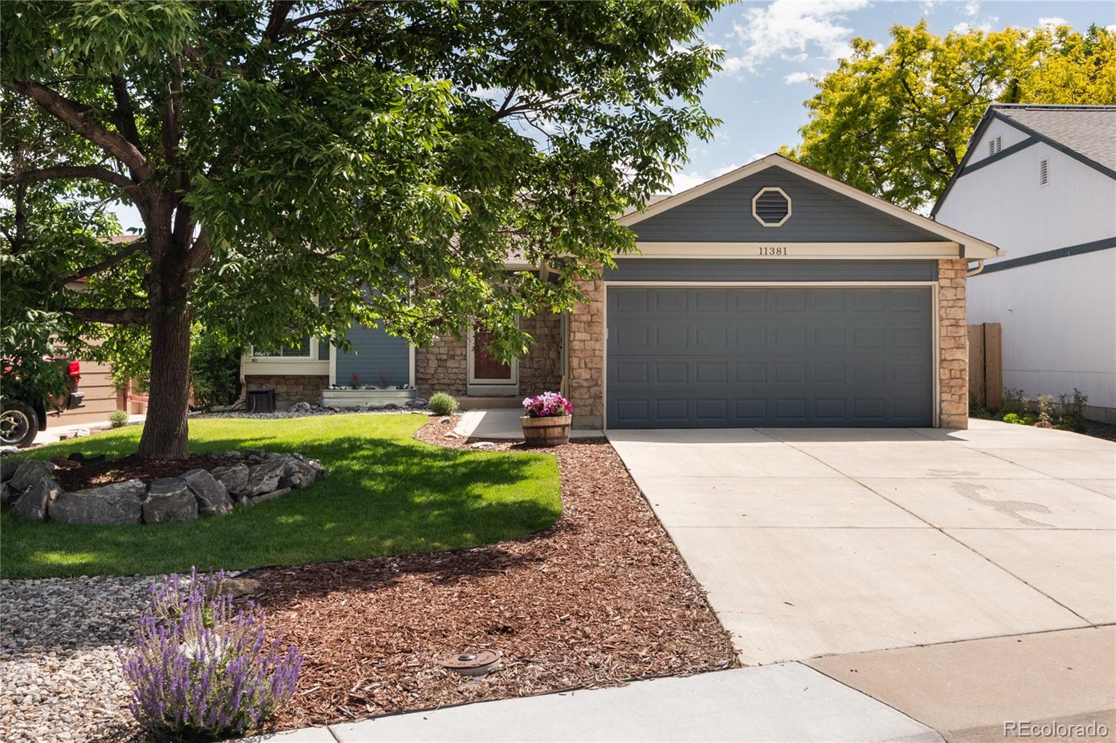 MLS Image #9 for 11381  jay street,westminster, Colorado