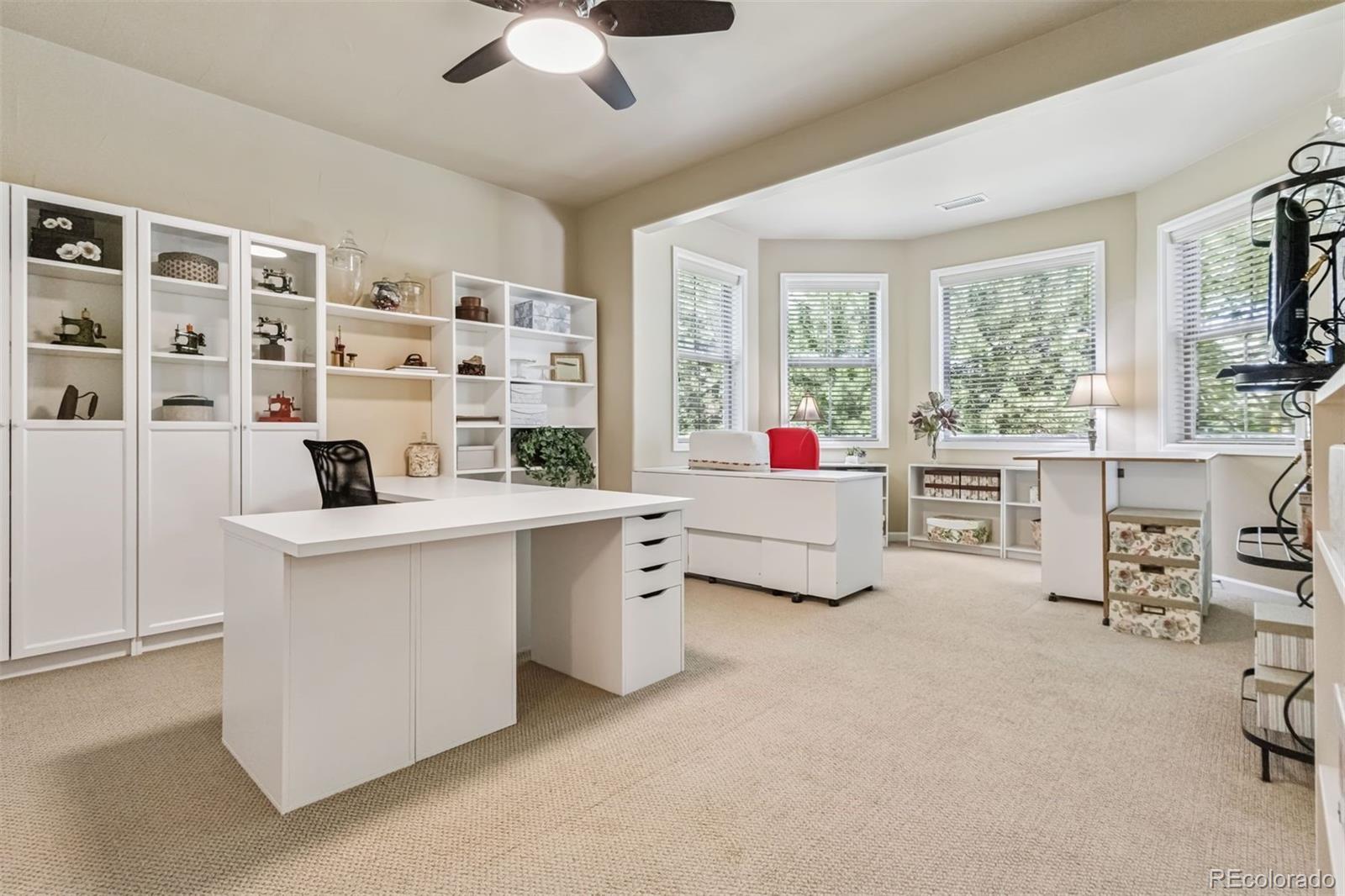 MLS Image #18 for 6279  oxford peak place,castle rock, Colorado