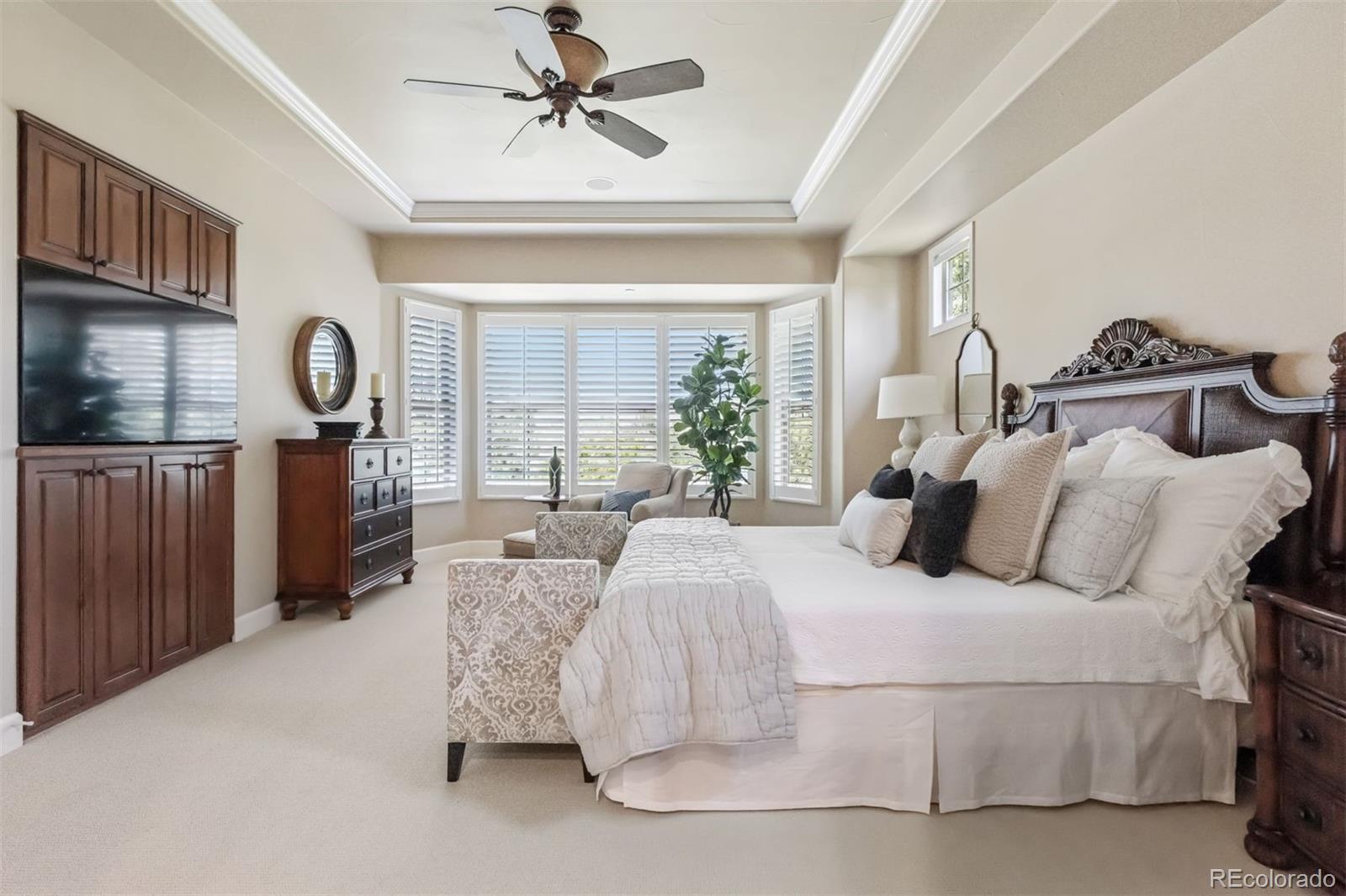 MLS Image #5 for 6279  oxford peak place,castle rock, Colorado