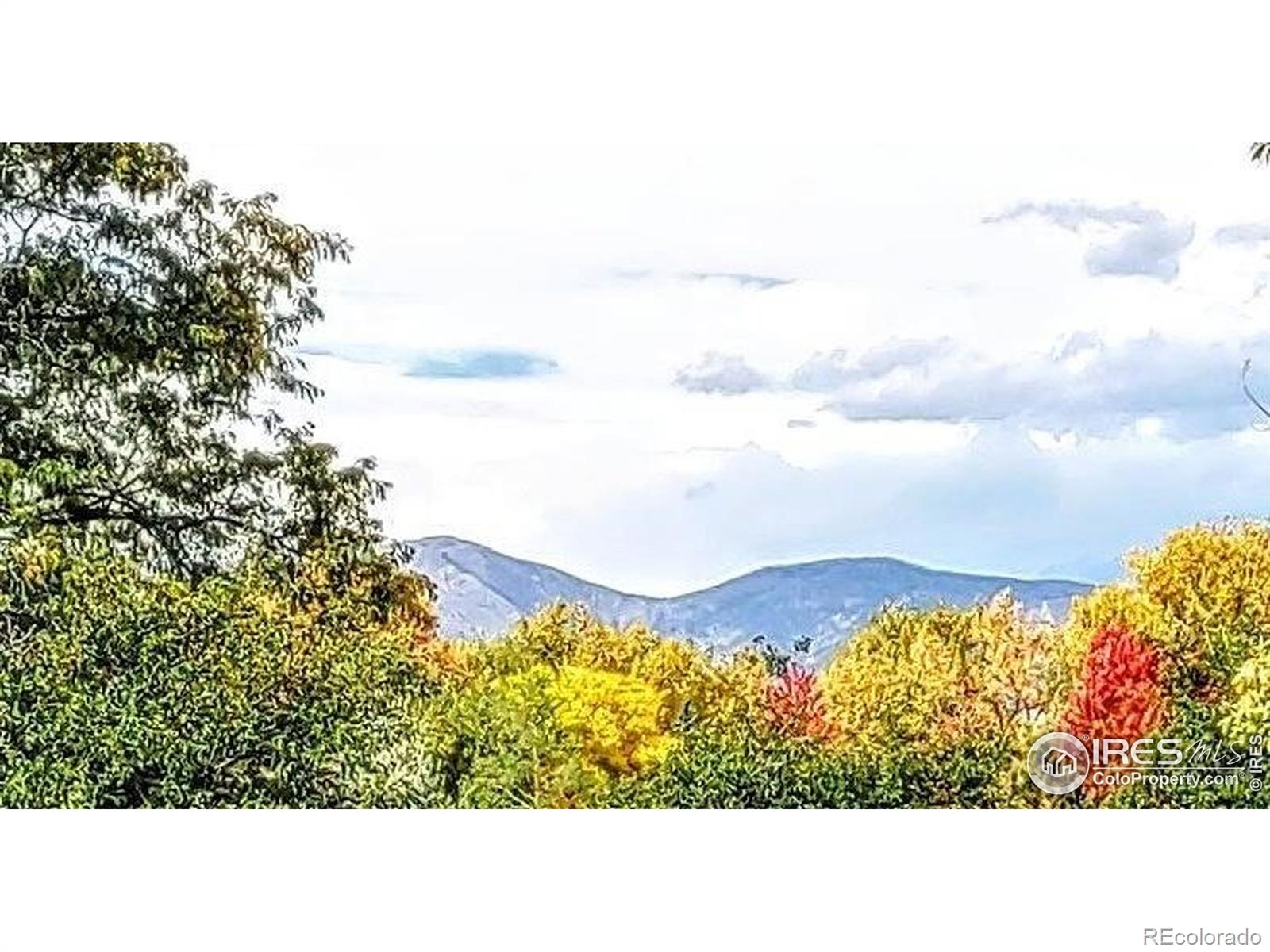 MLS Image #3 for 8840  niwot road,niwot, Colorado