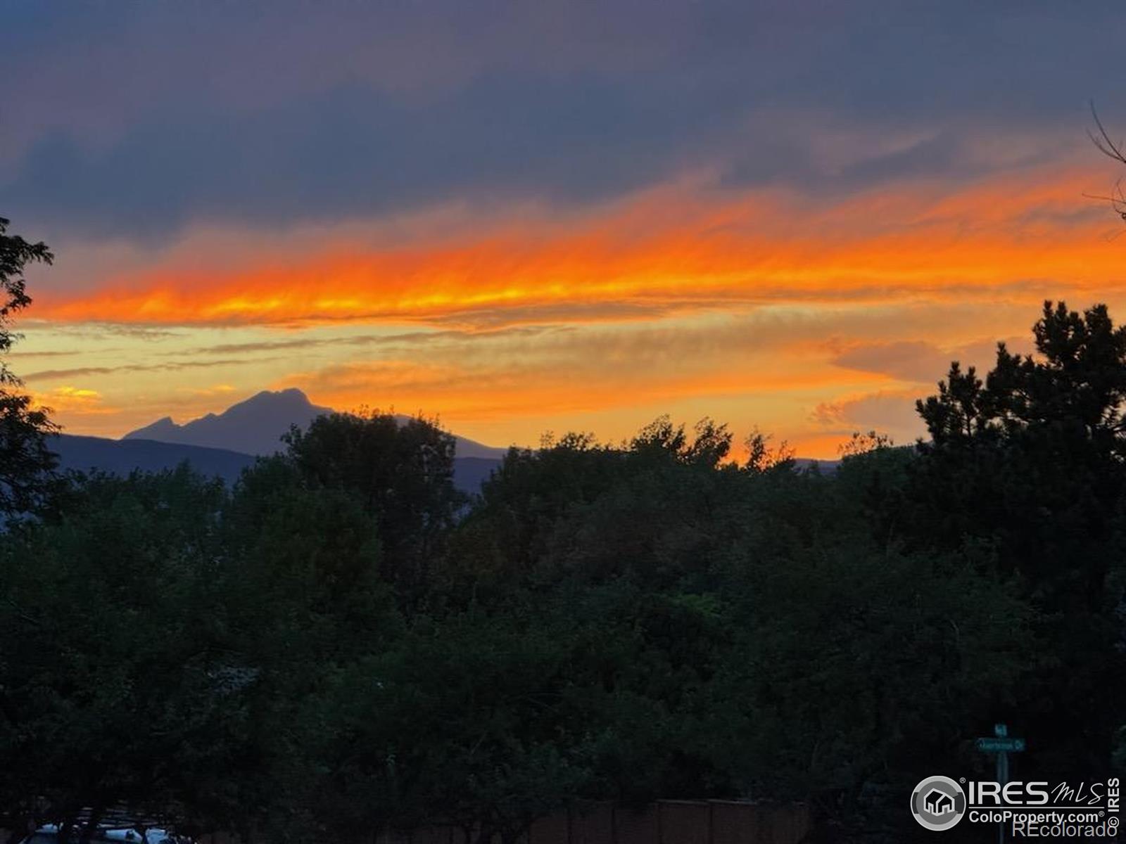 MLS Image #8 for 8840  niwot road,niwot, Colorado