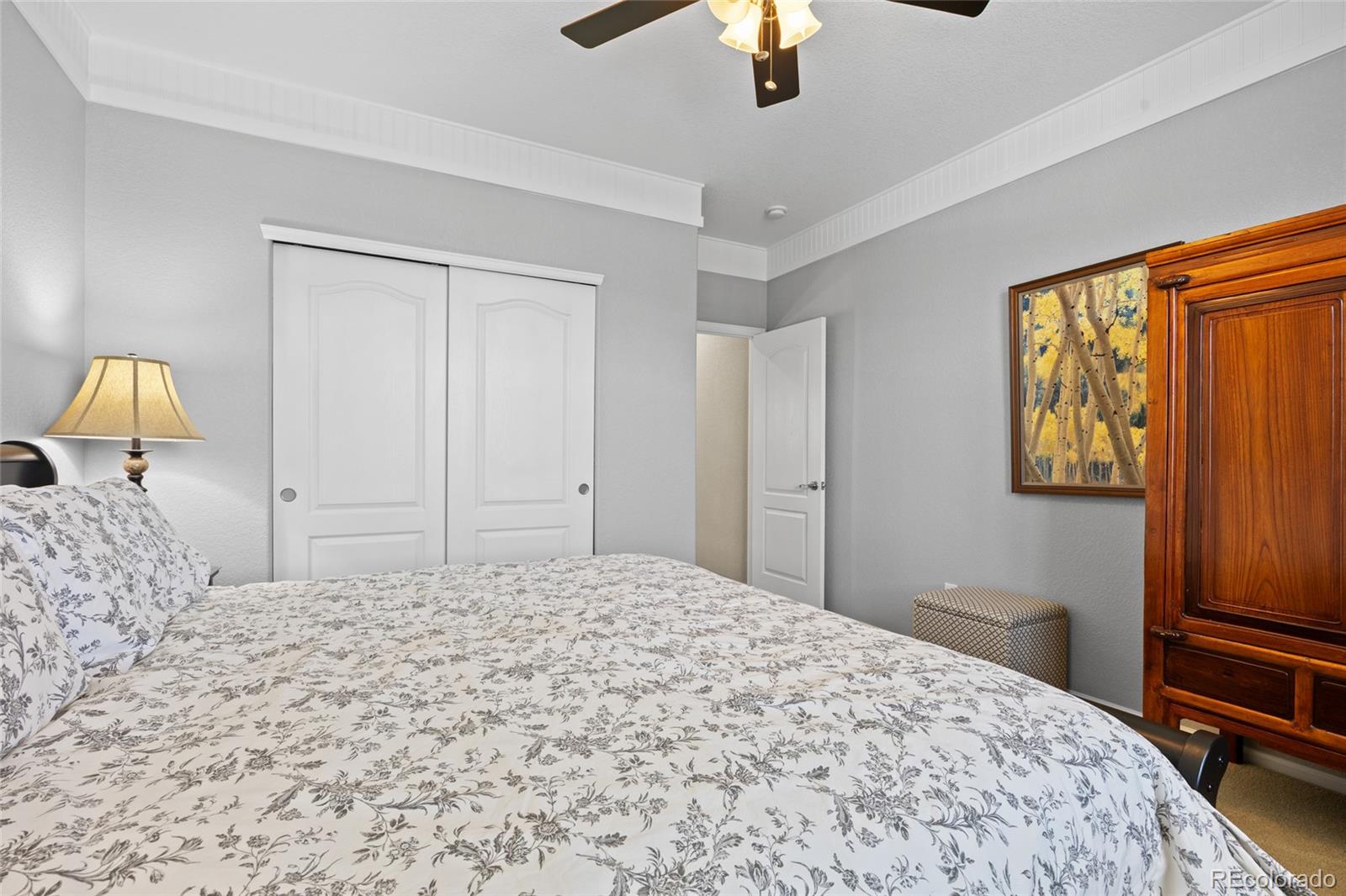 MLS Image #28 for 19616 e pinewood drive,aurora, Colorado