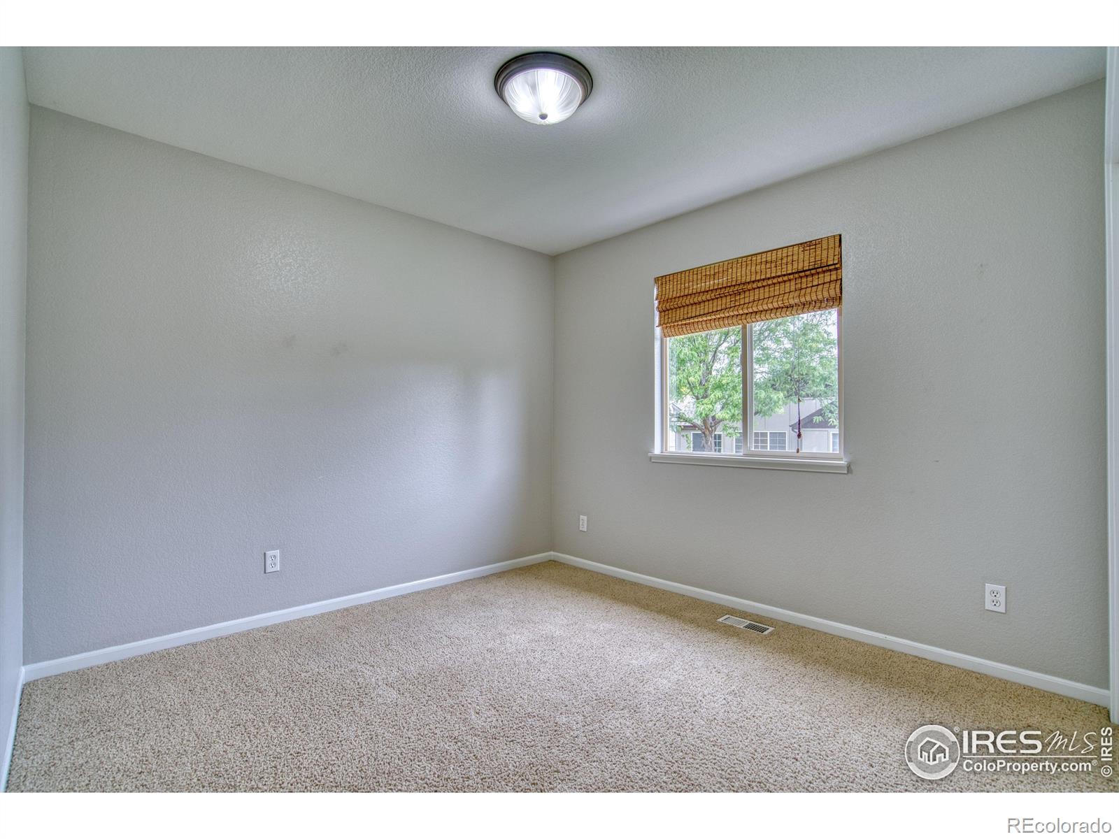 MLS Image #24 for 4646  withers drive,fort collins, Colorado