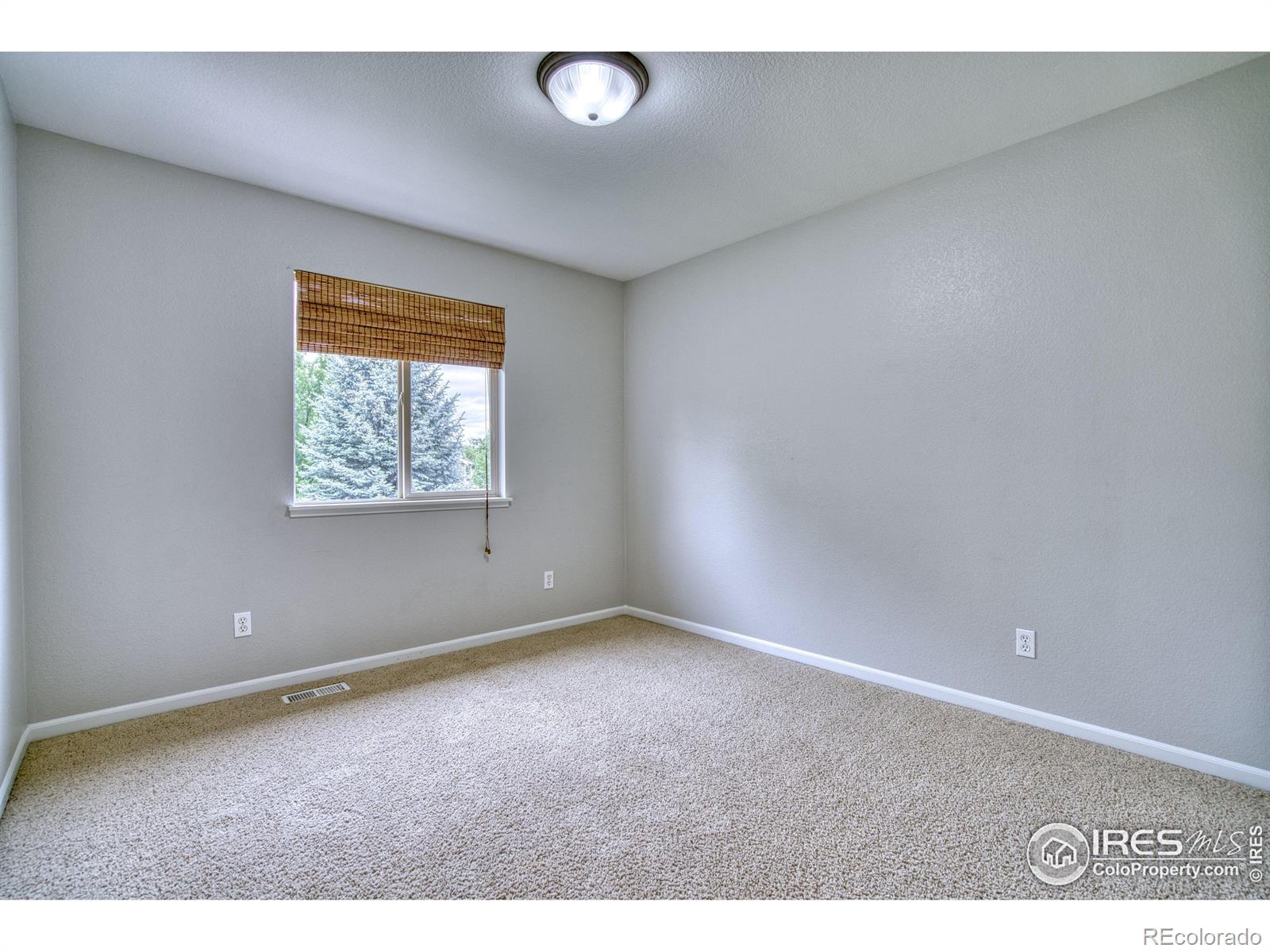 MLS Image #26 for 4646  withers drive,fort collins, Colorado
