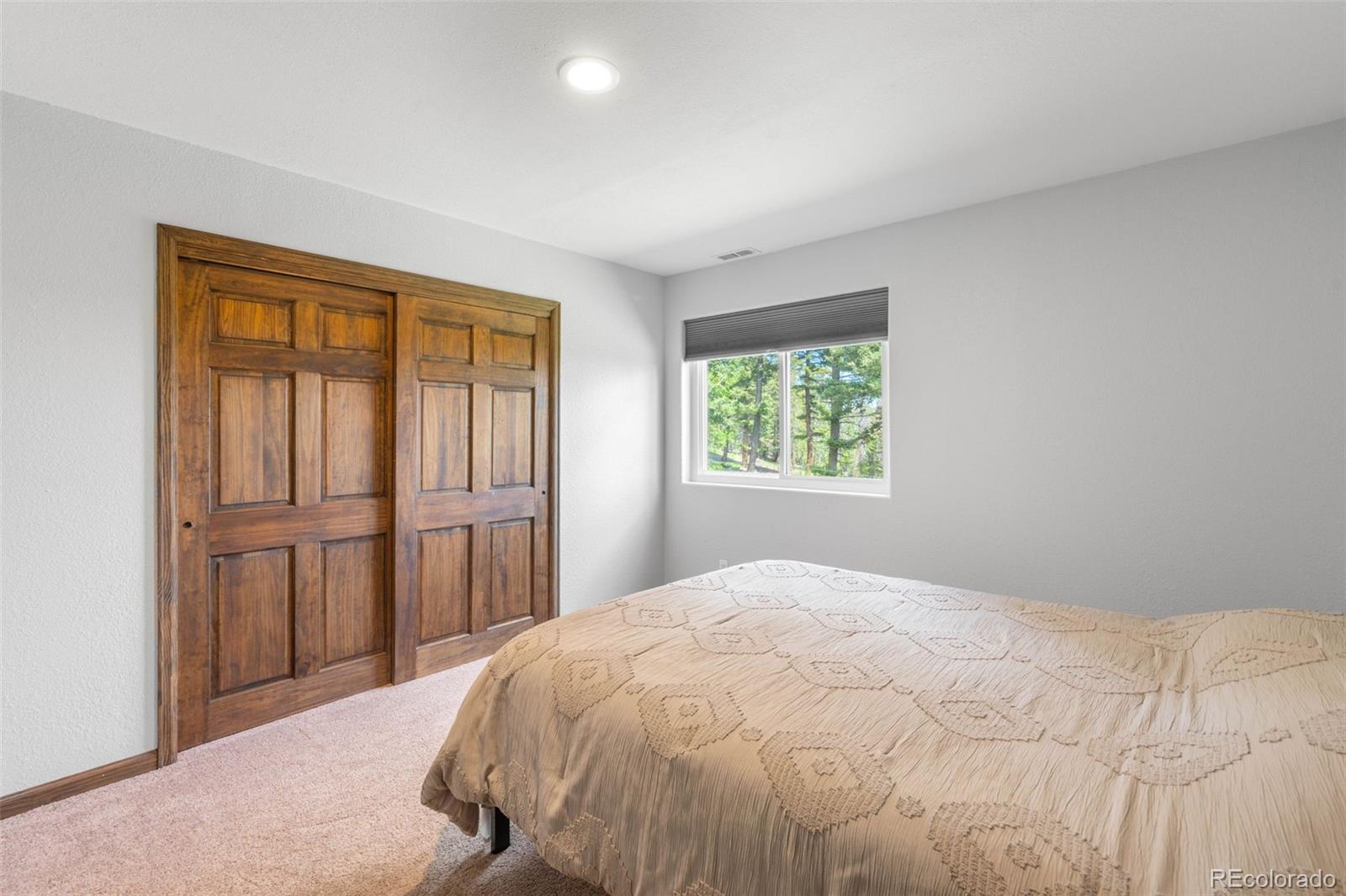 MLS Image #16 for 10090  blue sky trail,conifer, Colorado