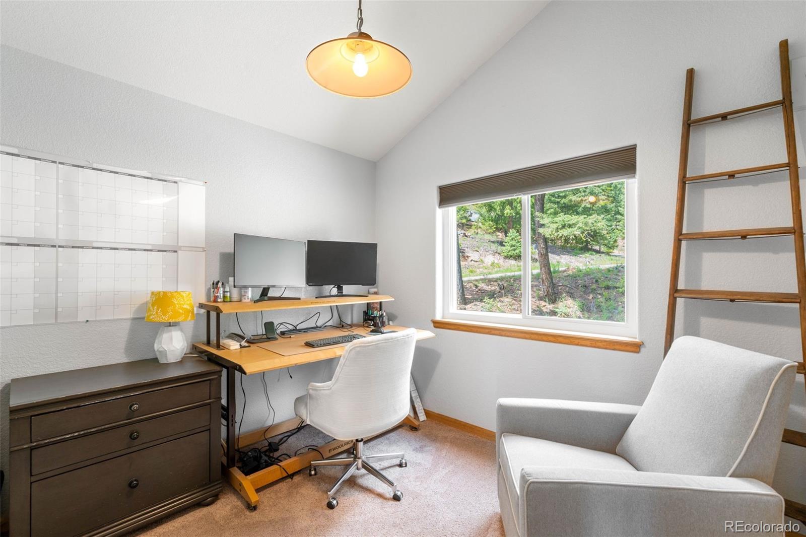 MLS Image #20 for 10090  blue sky trail,conifer, Colorado