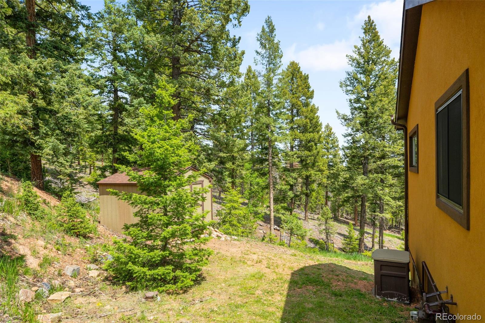 MLS Image #25 for 10090  blue sky trail,conifer, Colorado