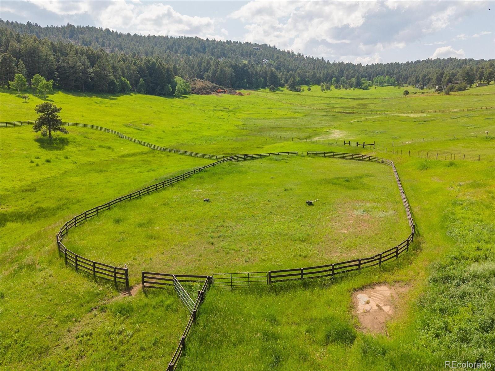 MLS Image #5 for 5939  lone peak drive,evergreen, Colorado