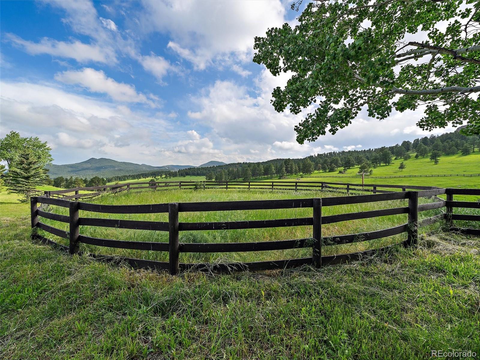 MLS Image #7 for 5939  lone peak drive,evergreen, Colorado