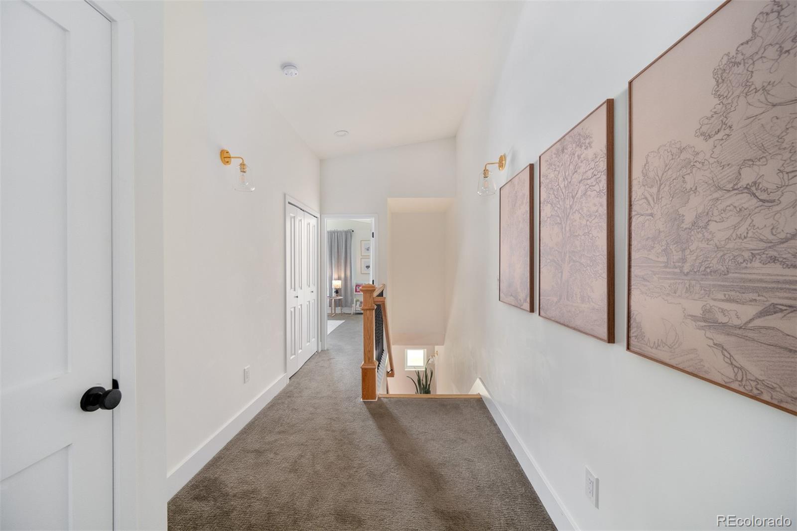 MLS Image #21 for 2571 s cherokee street,denver, Colorado