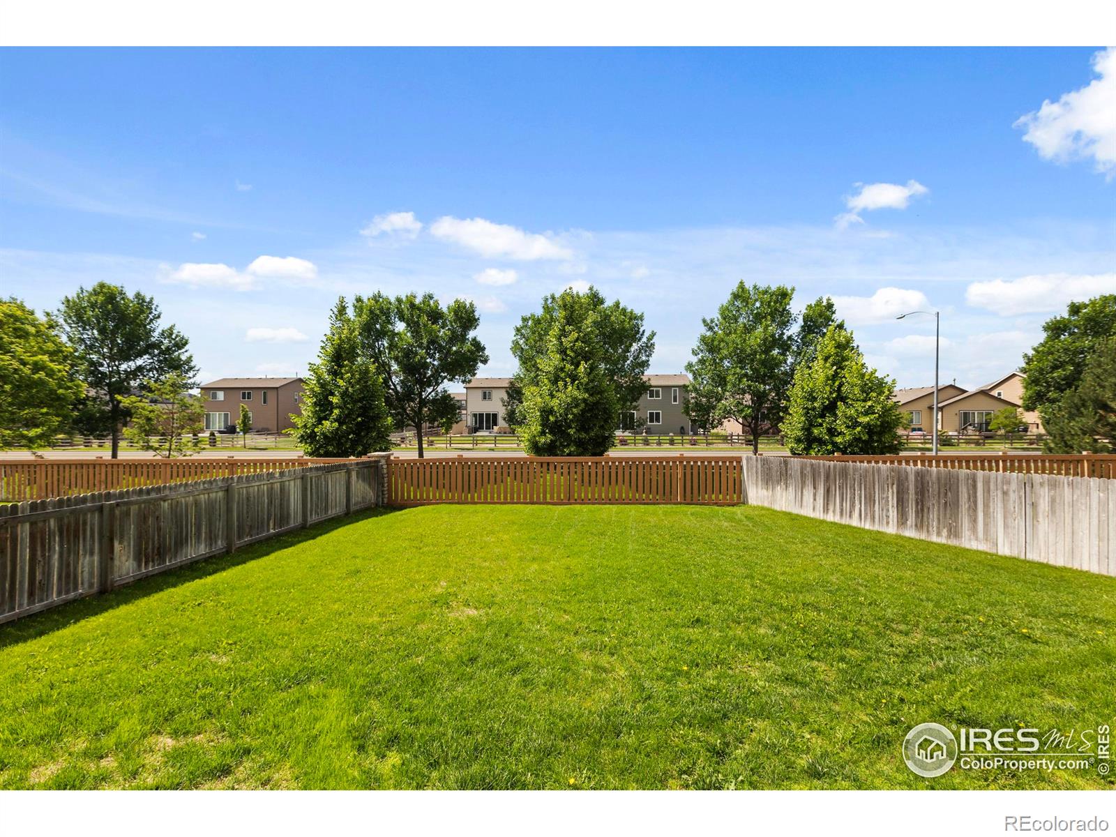 MLS Image #29 for 1587  edenbridge drive,windsor, Colorado