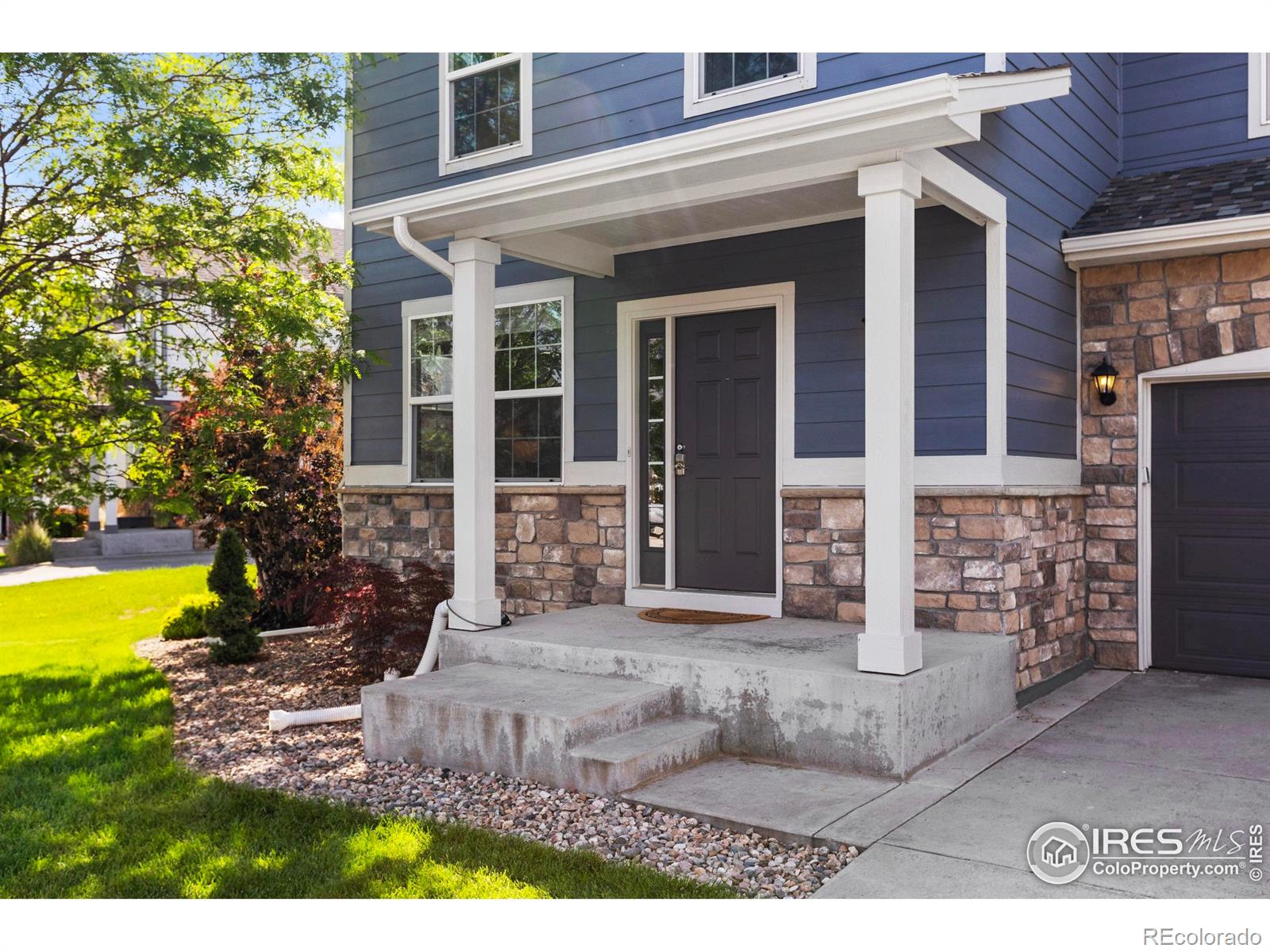 MLS Image #3 for 1587  edenbridge drive,windsor, Colorado