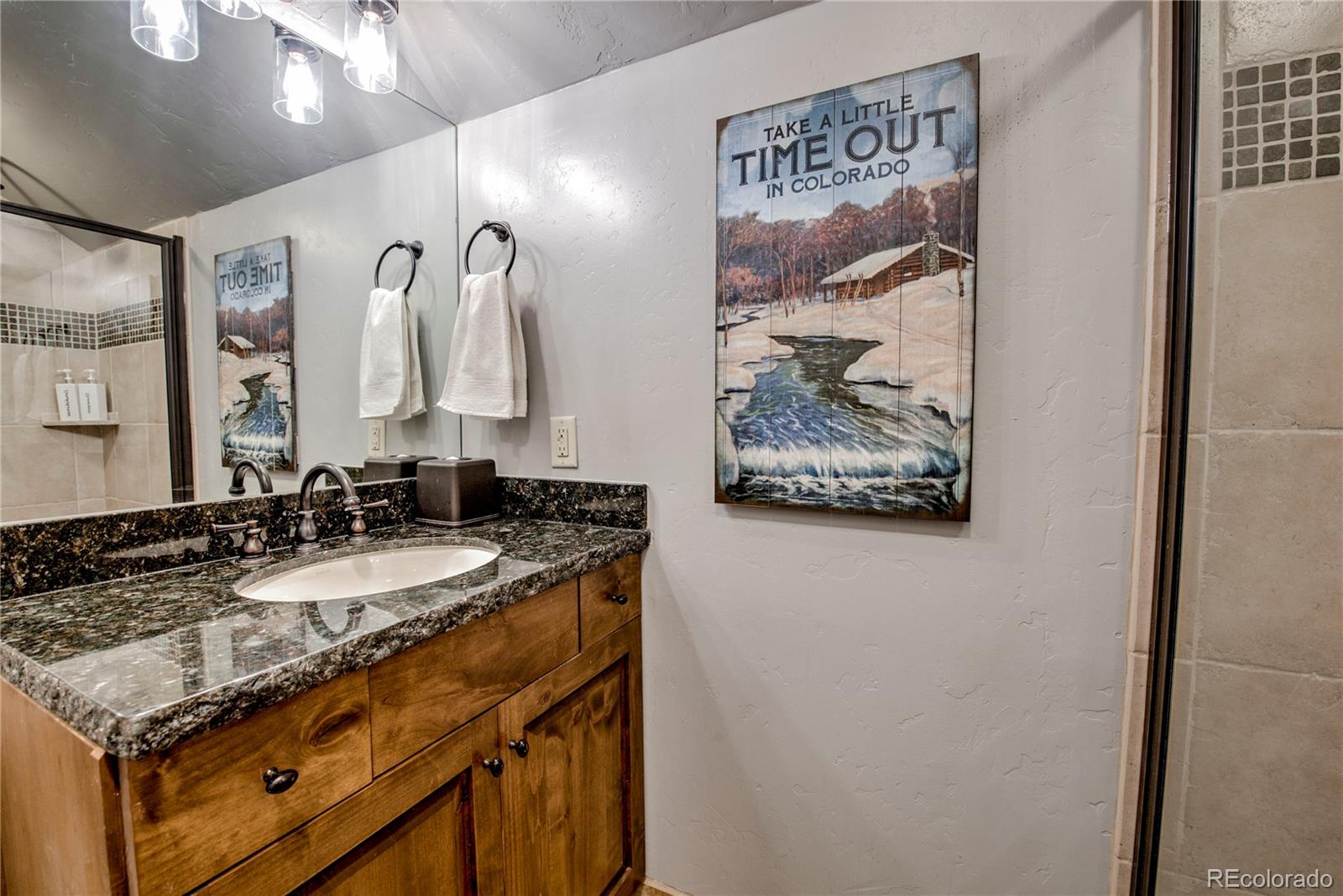 MLS Image #23 for 107  ski watch road 32,breckenridge, Colorado