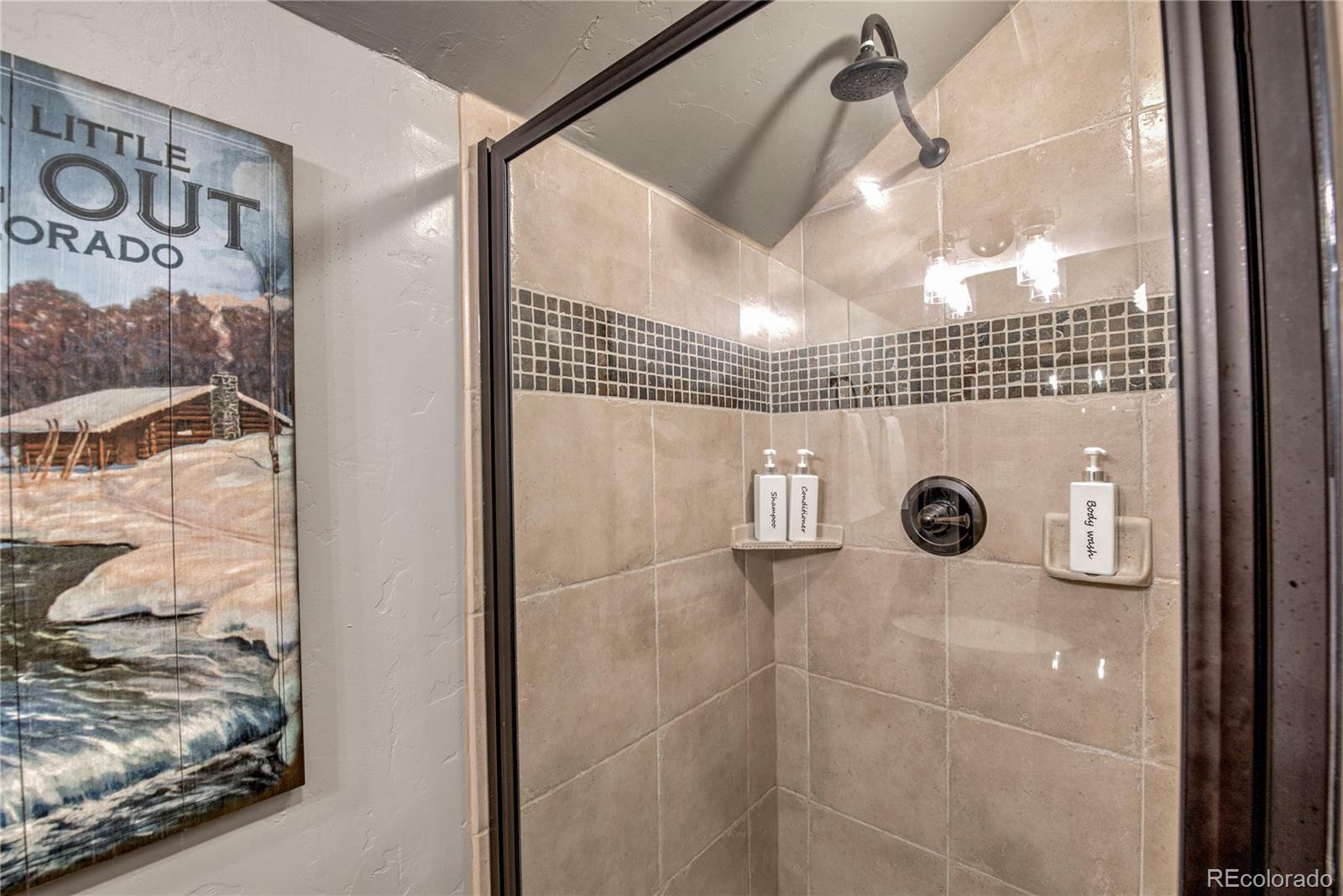 MLS Image #25 for 107  ski watch road 32,breckenridge, Colorado