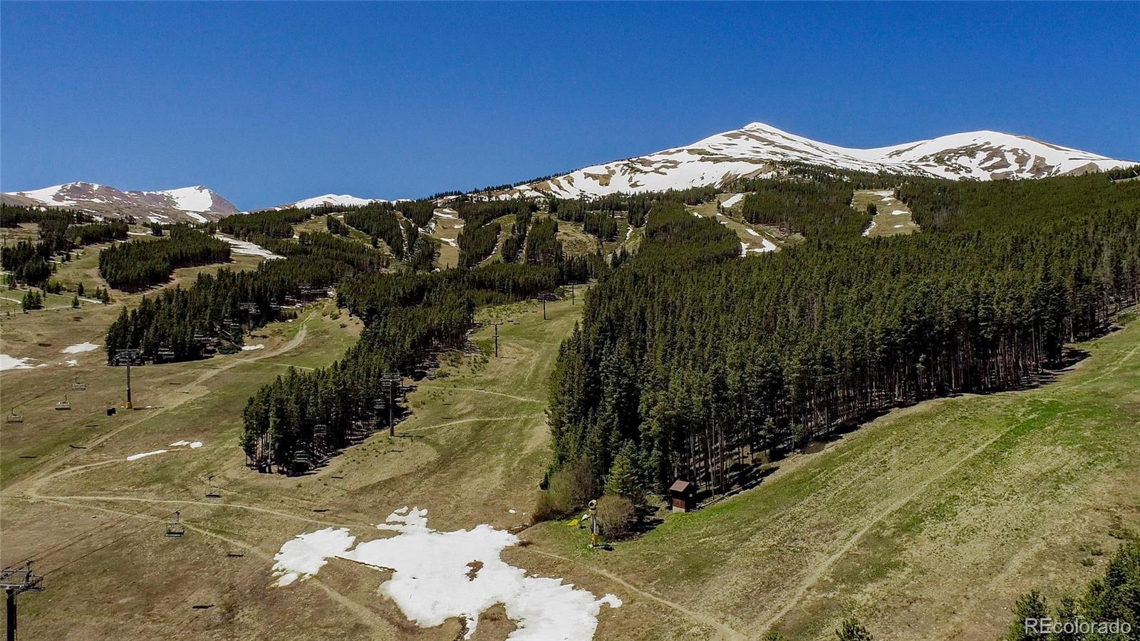 MLS Image #43 for 107  ski watch road 32,breckenridge, Colorado