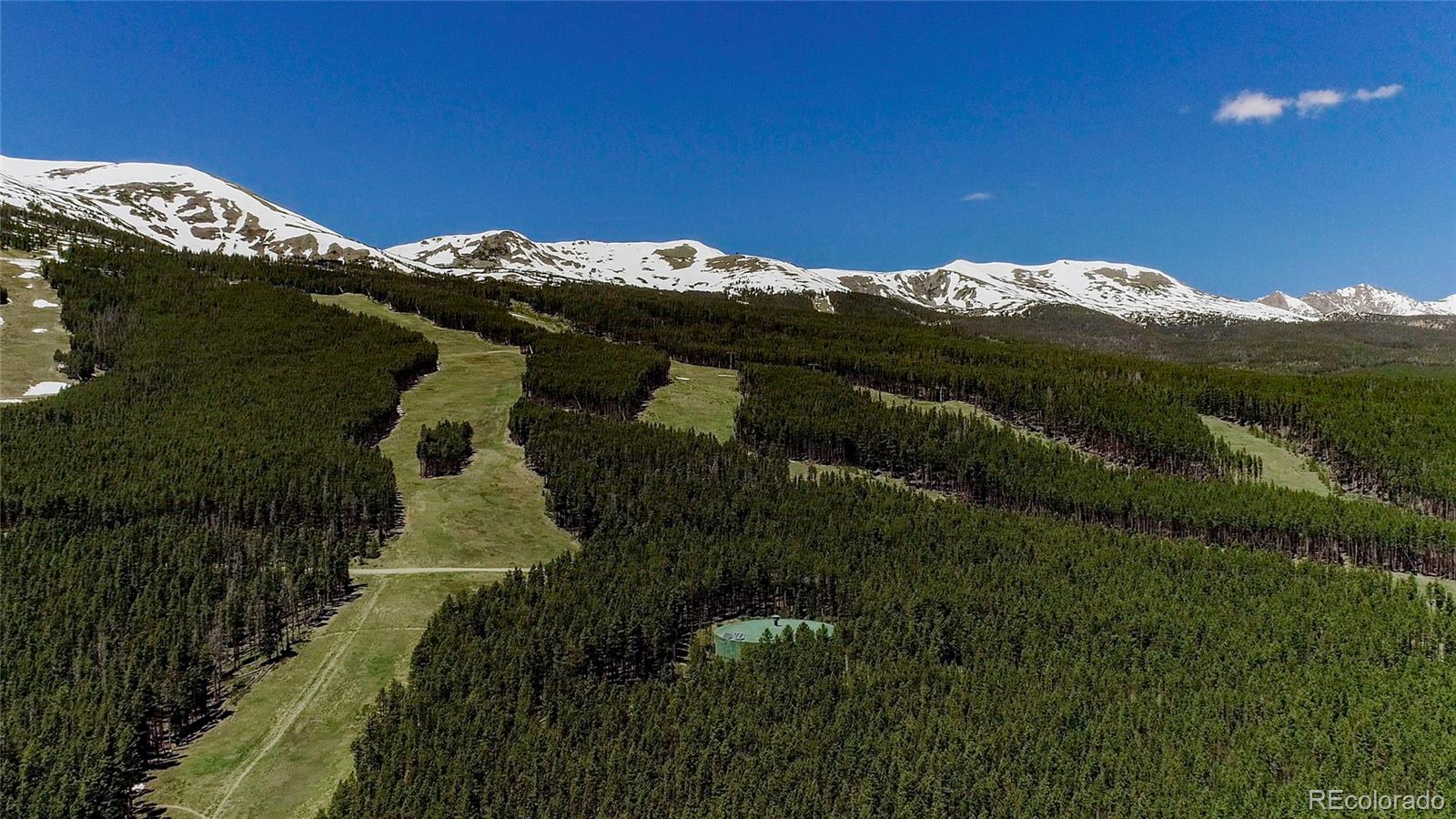 MLS Image #47 for 107  ski watch road 32,breckenridge, Colorado