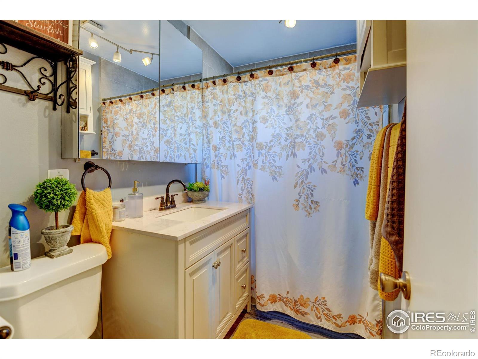 MLS Image #12 for 7970  wolff court,westminster, Colorado
