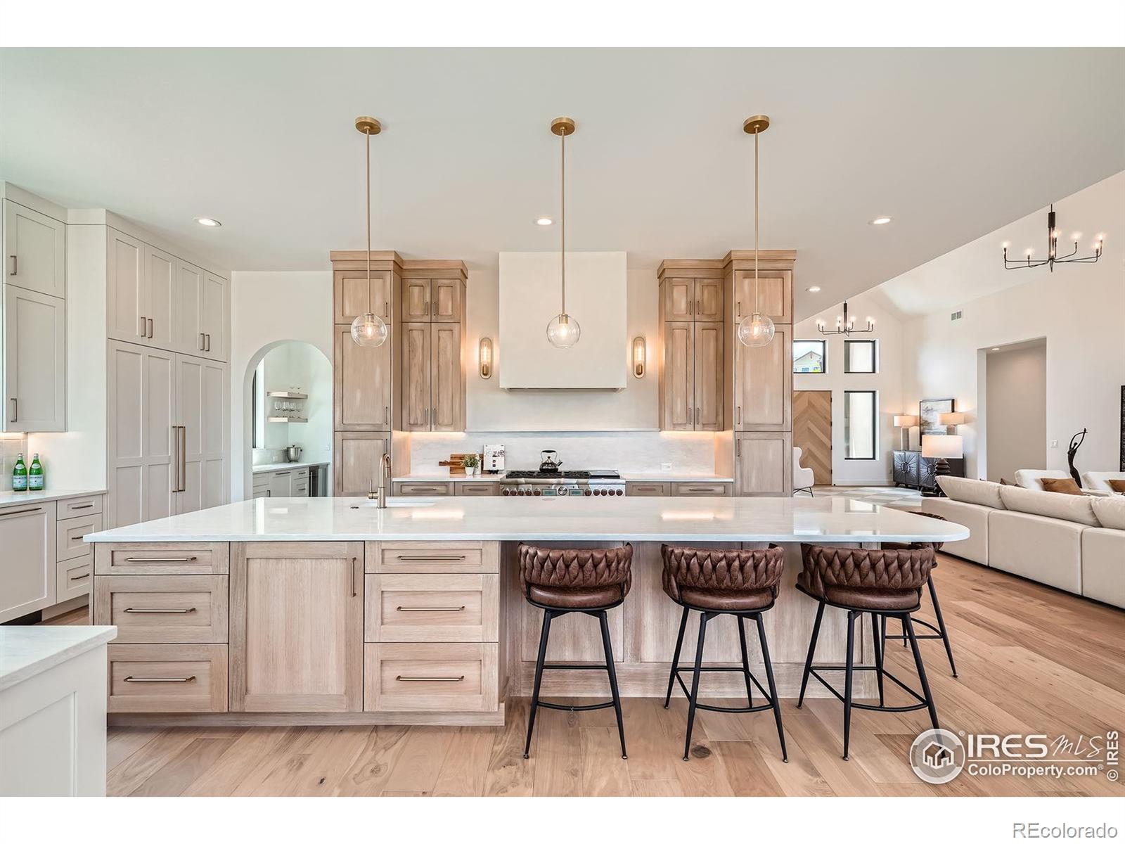 MLS Image #12 for 1126 w enclave circle,louisville, Colorado