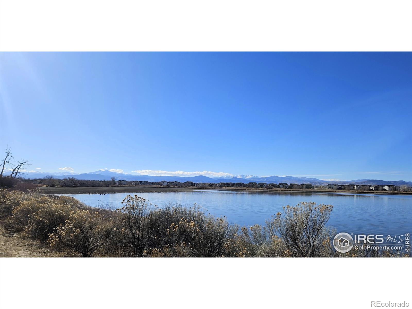MLS Image #4 for 4865  hahns peak drive,loveland, Colorado