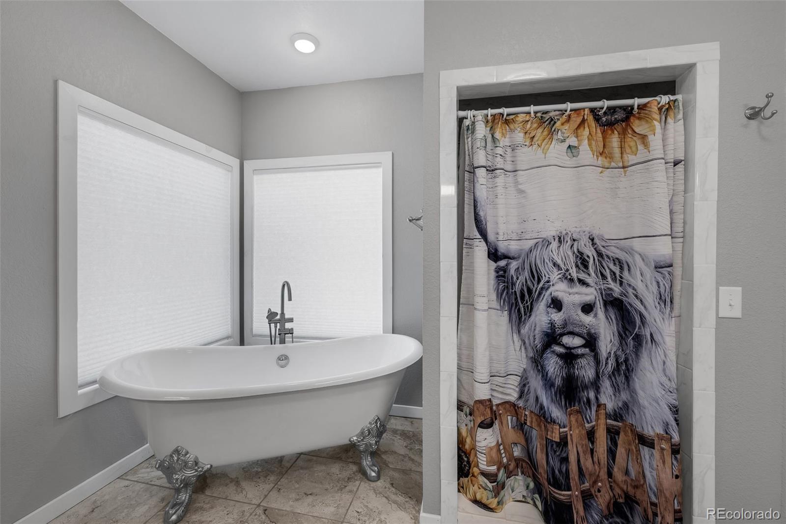 MLS Image #17 for 1255  quanah road,westcliffe, Colorado