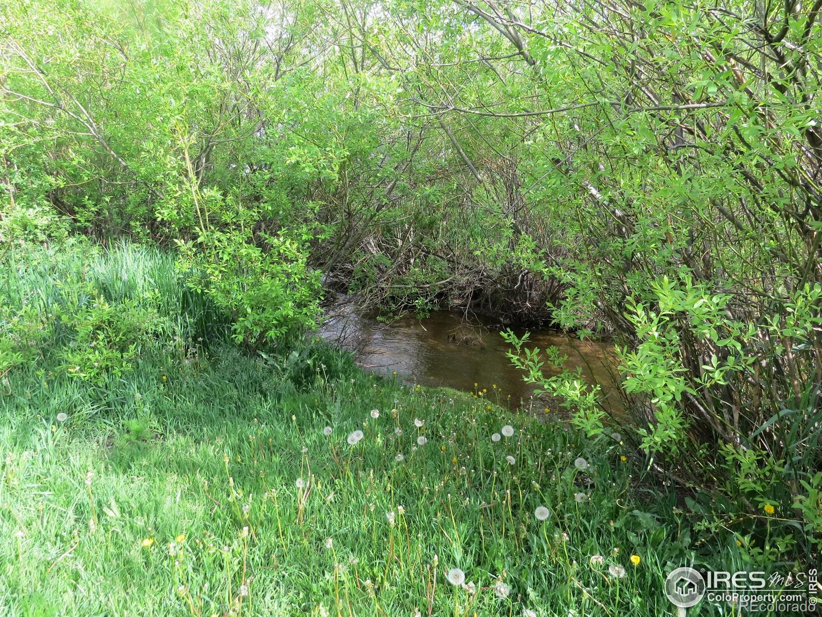 MLS Image #31 for 135 e 2nd street,nederland, Colorado
