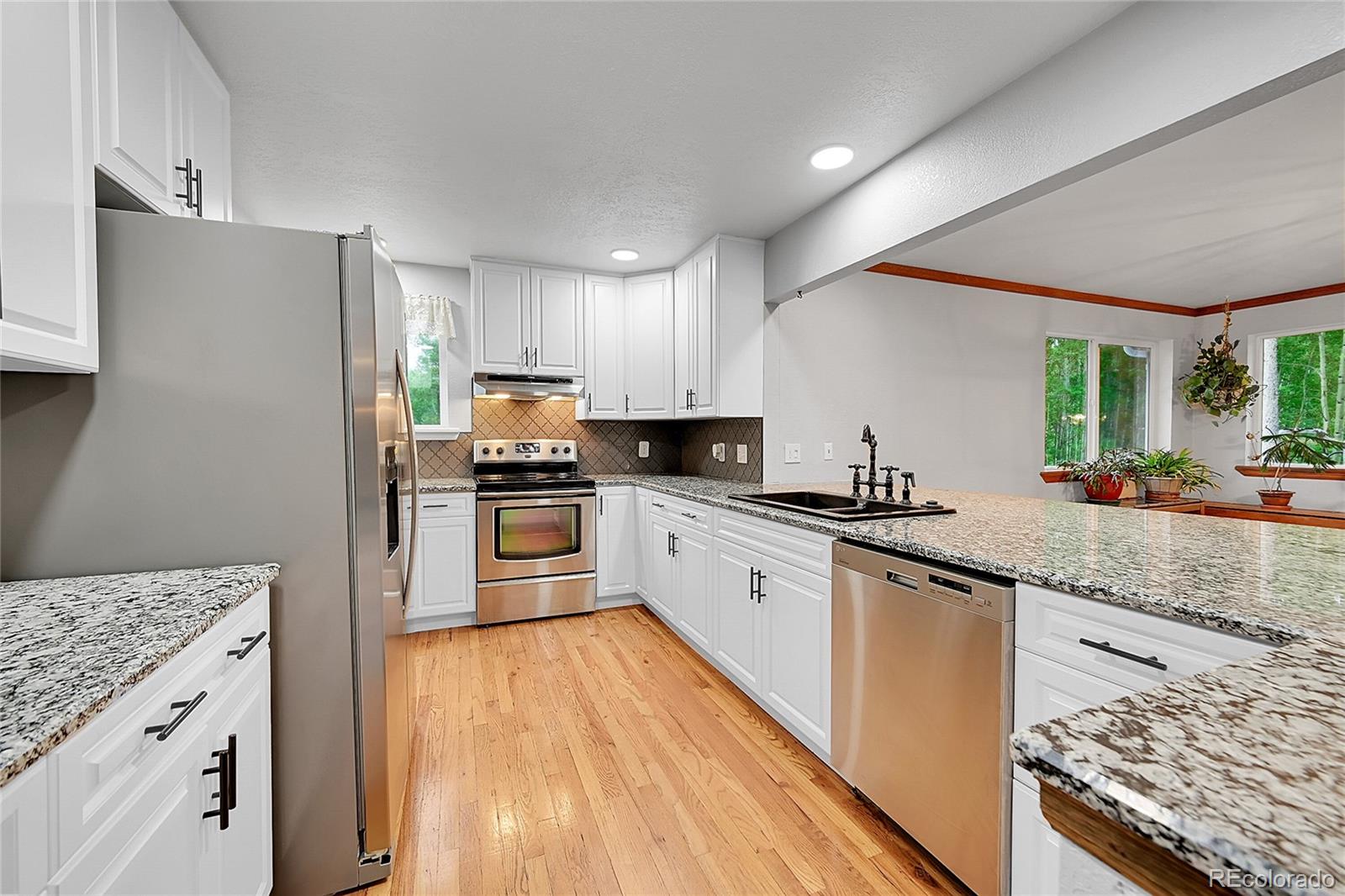MLS Image #1 for 9229  black mountain drive,conifer, Colorado