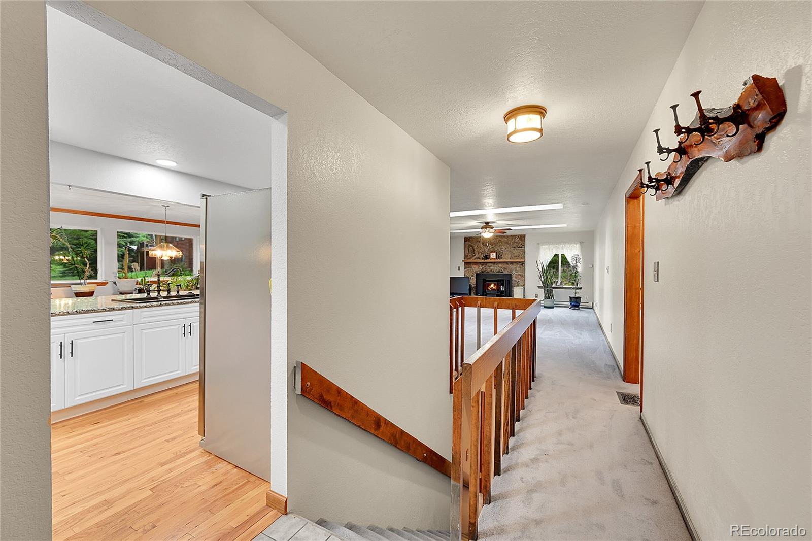 MLS Image #10 for 9229  black mountain drive,conifer, Colorado