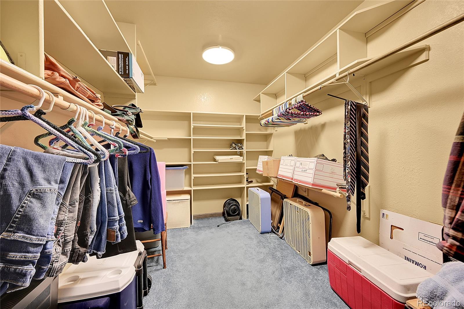 MLS Image #18 for 9229  black mountain drive,conifer, Colorado