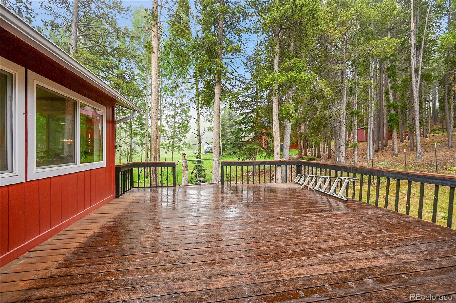 MLS Image #24 for 9229  black mountain drive,conifer, Colorado