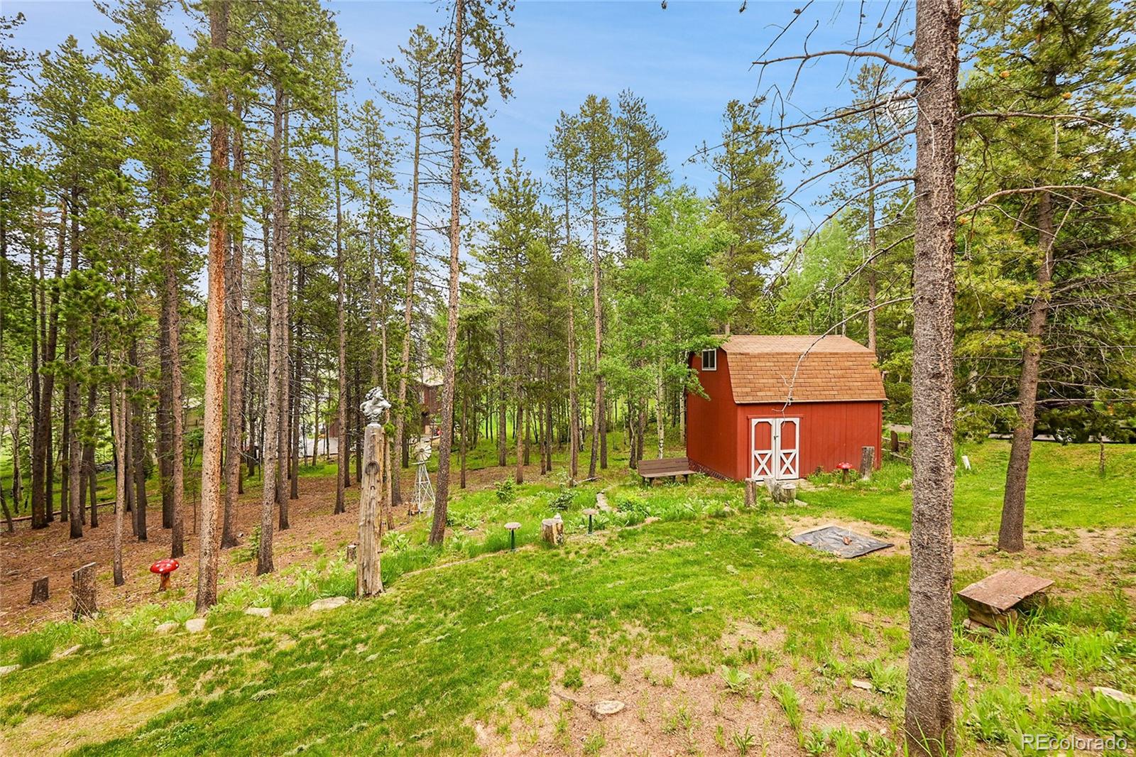 MLS Image #42 for 9229  black mountain drive,conifer, Colorado