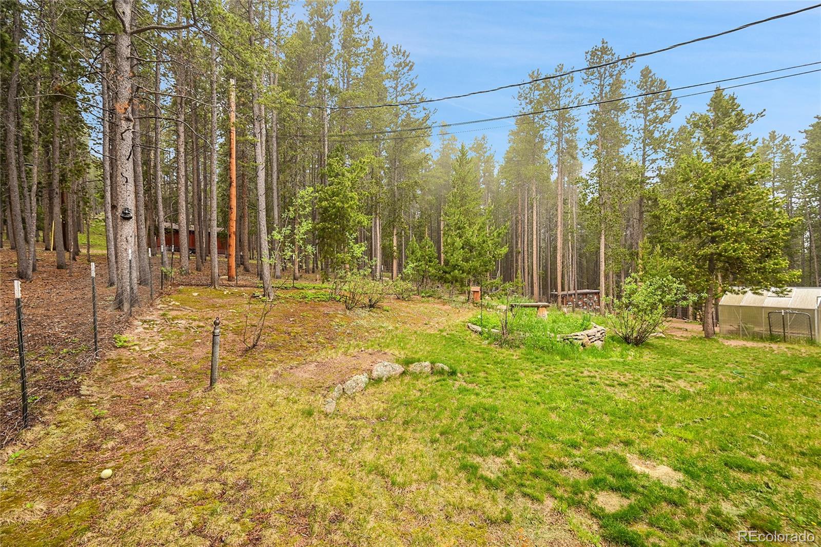 MLS Image #44 for 9229  black mountain drive,conifer, Colorado