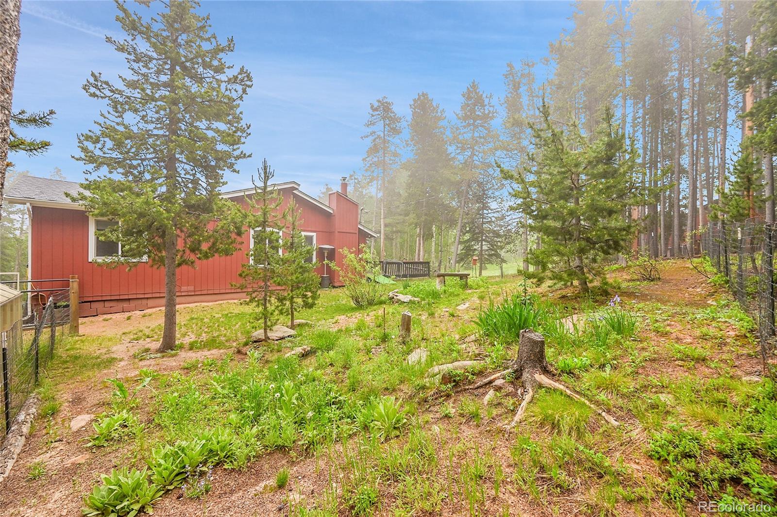 MLS Image #45 for 9229  black mountain drive,conifer, Colorado