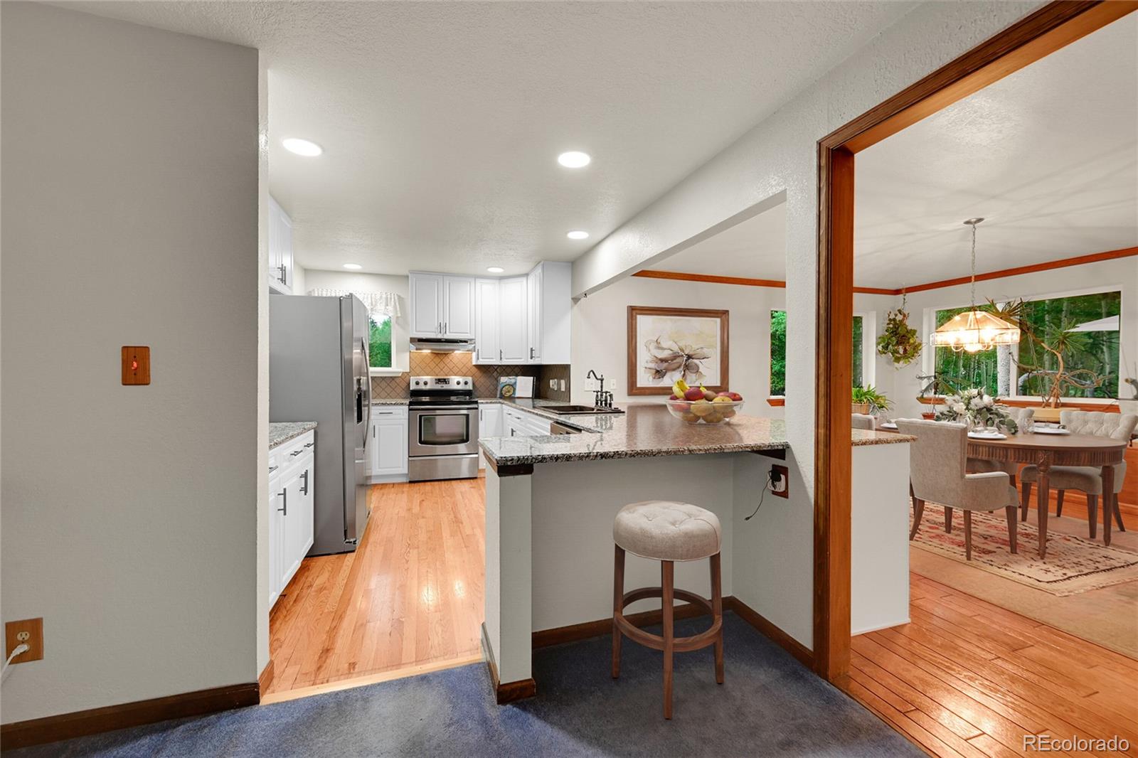 MLS Image #5 for 9229  black mountain drive,conifer, Colorado