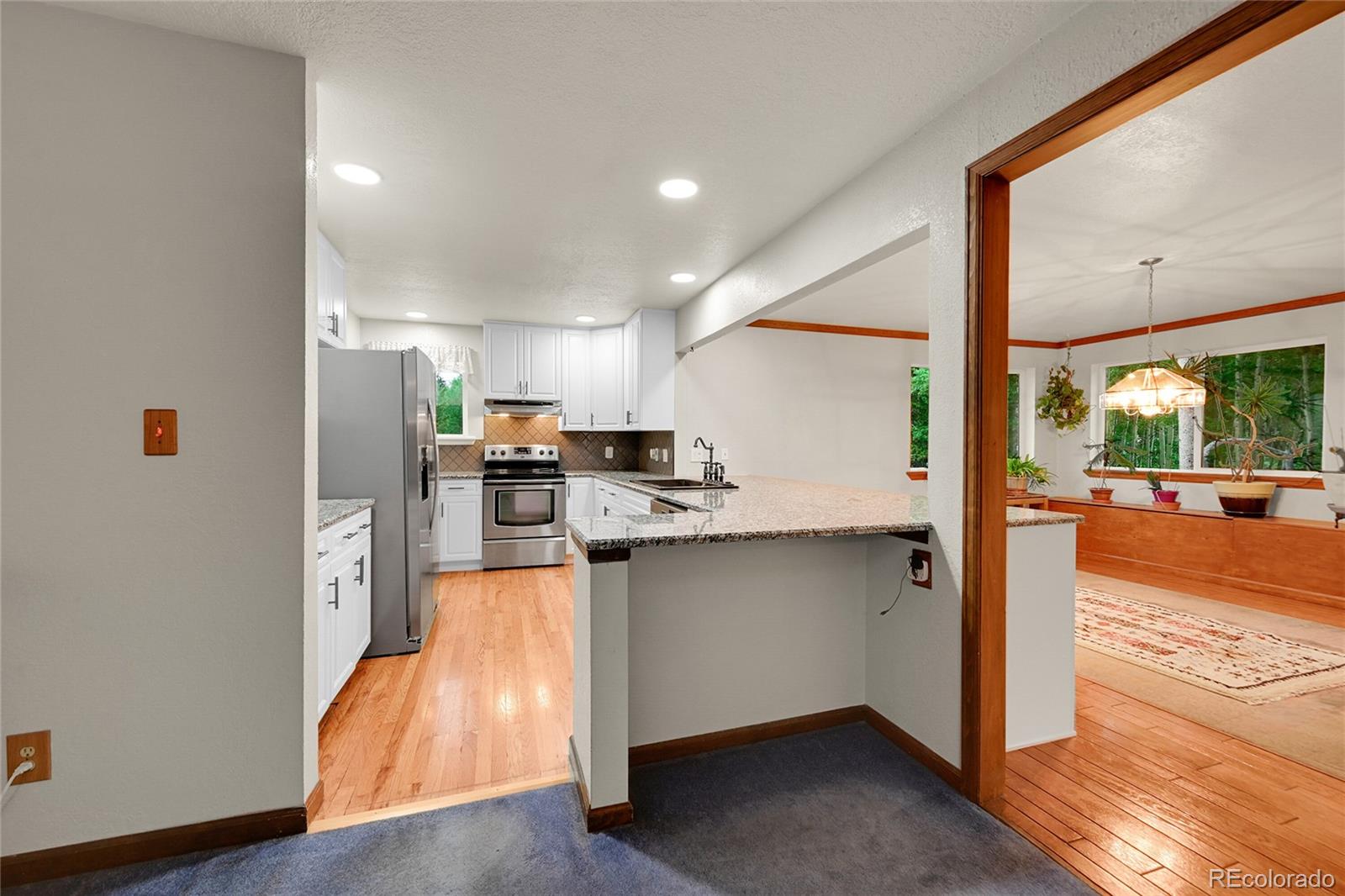 MLS Image #6 for 9229  black mountain drive,conifer, Colorado
