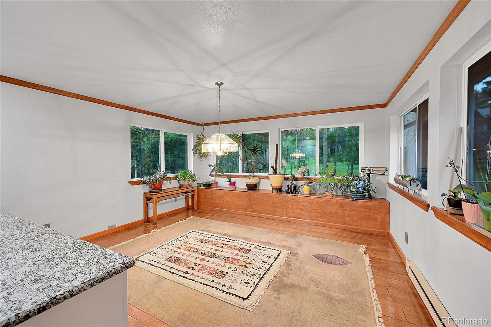 MLS Image #9 for 9229  black mountain drive,conifer, Colorado