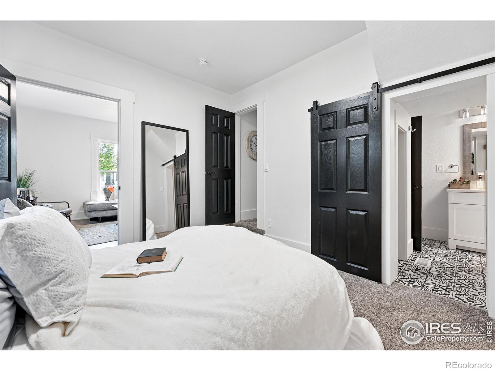 MLS Image #19 for 203 n jefferson avenue,loveland, Colorado