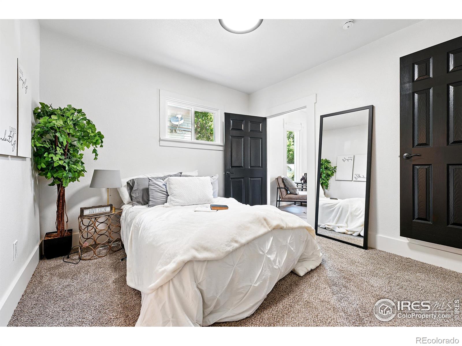 MLS Image #20 for 203 n jefferson avenue,loveland, Colorado